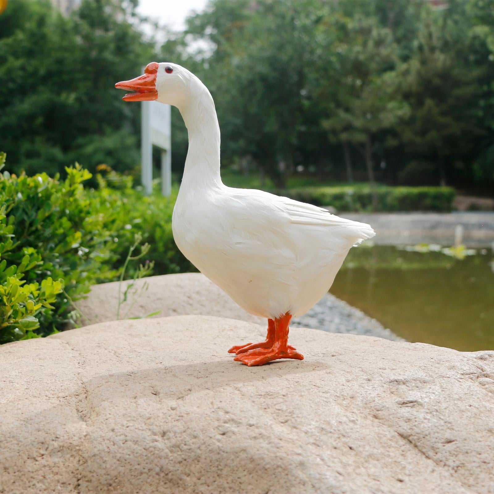 4ef2fe9add1d56971f94d68dbe4fb164