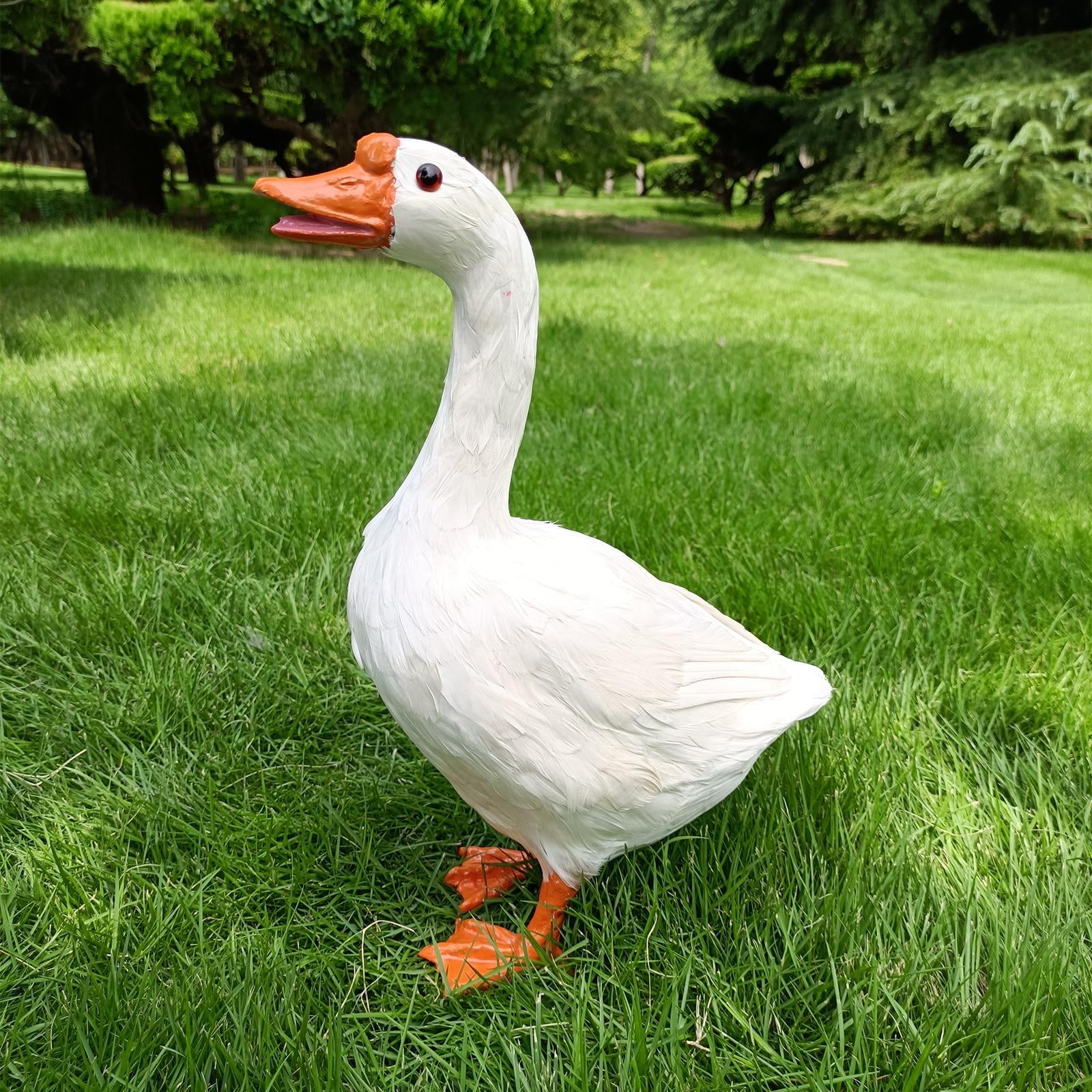 60437b929bb16a39976a414878b97bcf