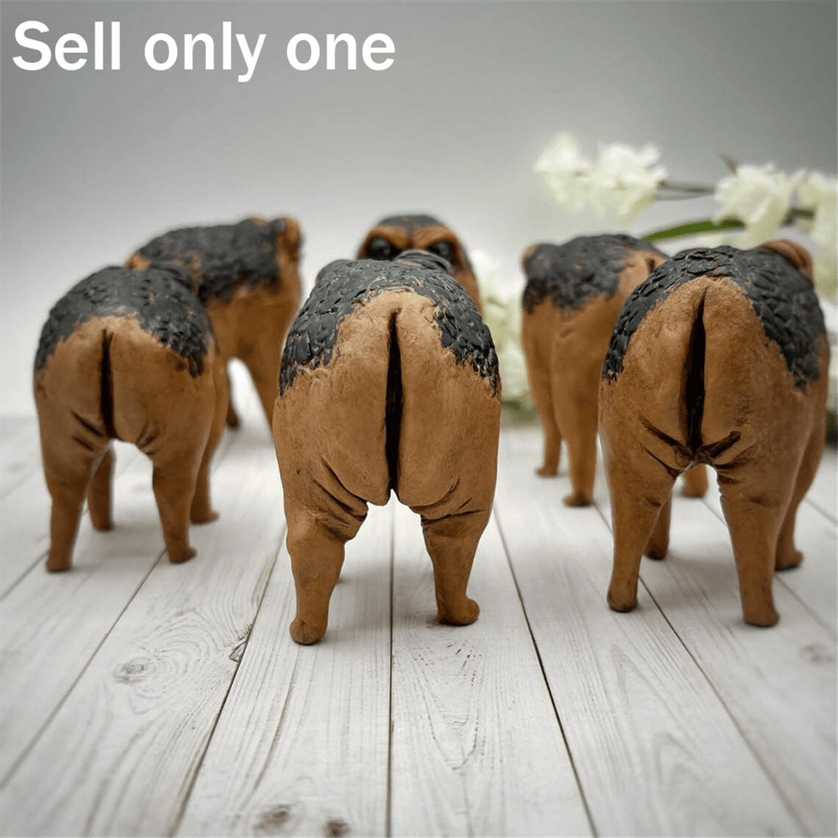 401c544dbd8ffc53496b494b4fb38bc0