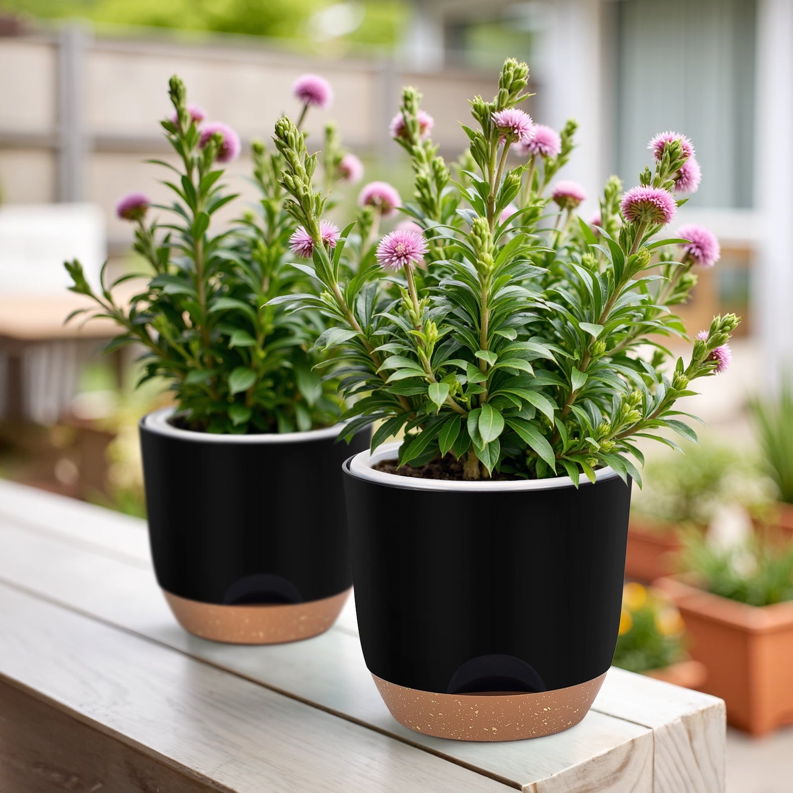 15ae9e1b8ec0464856c96eda65842bd6