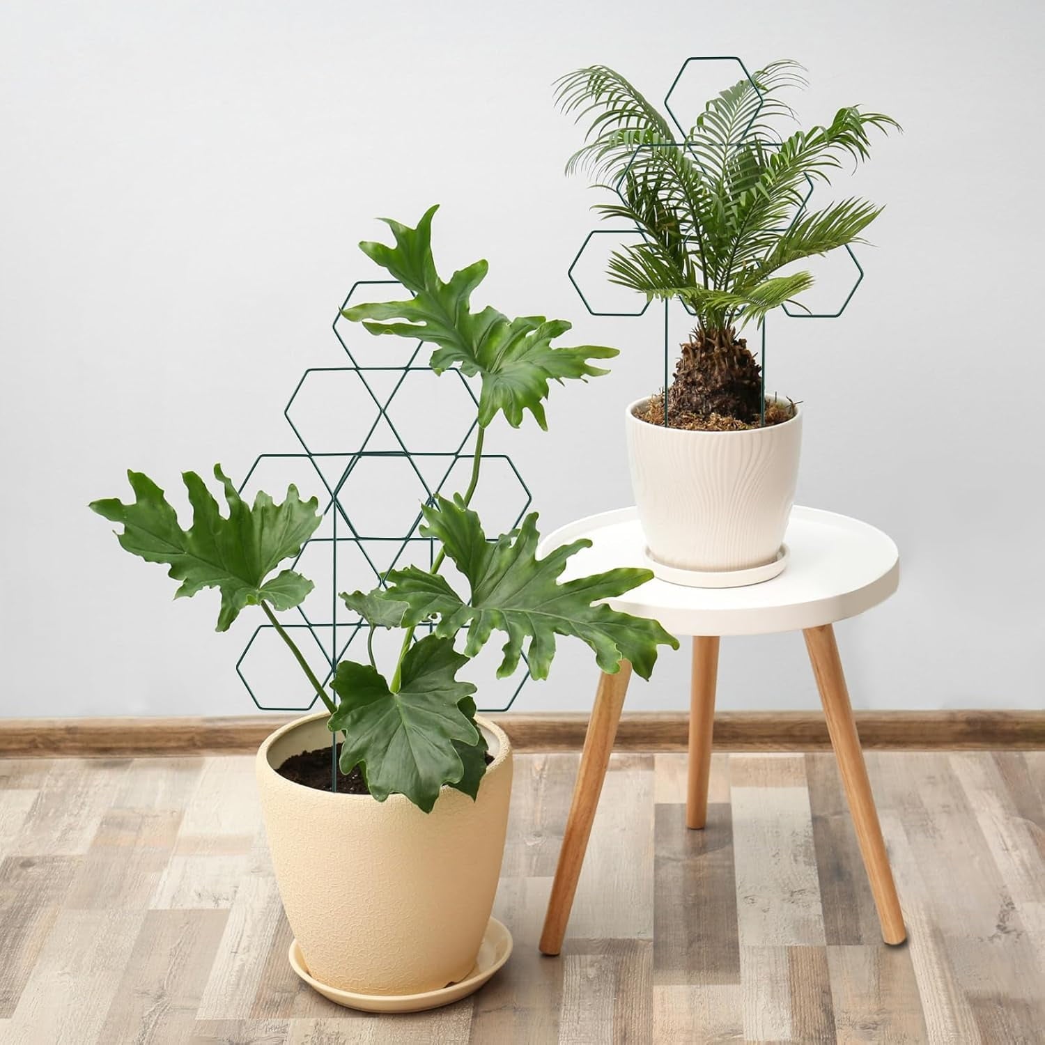 6659fff5ea5abee222ac4a5ffc20f8fc