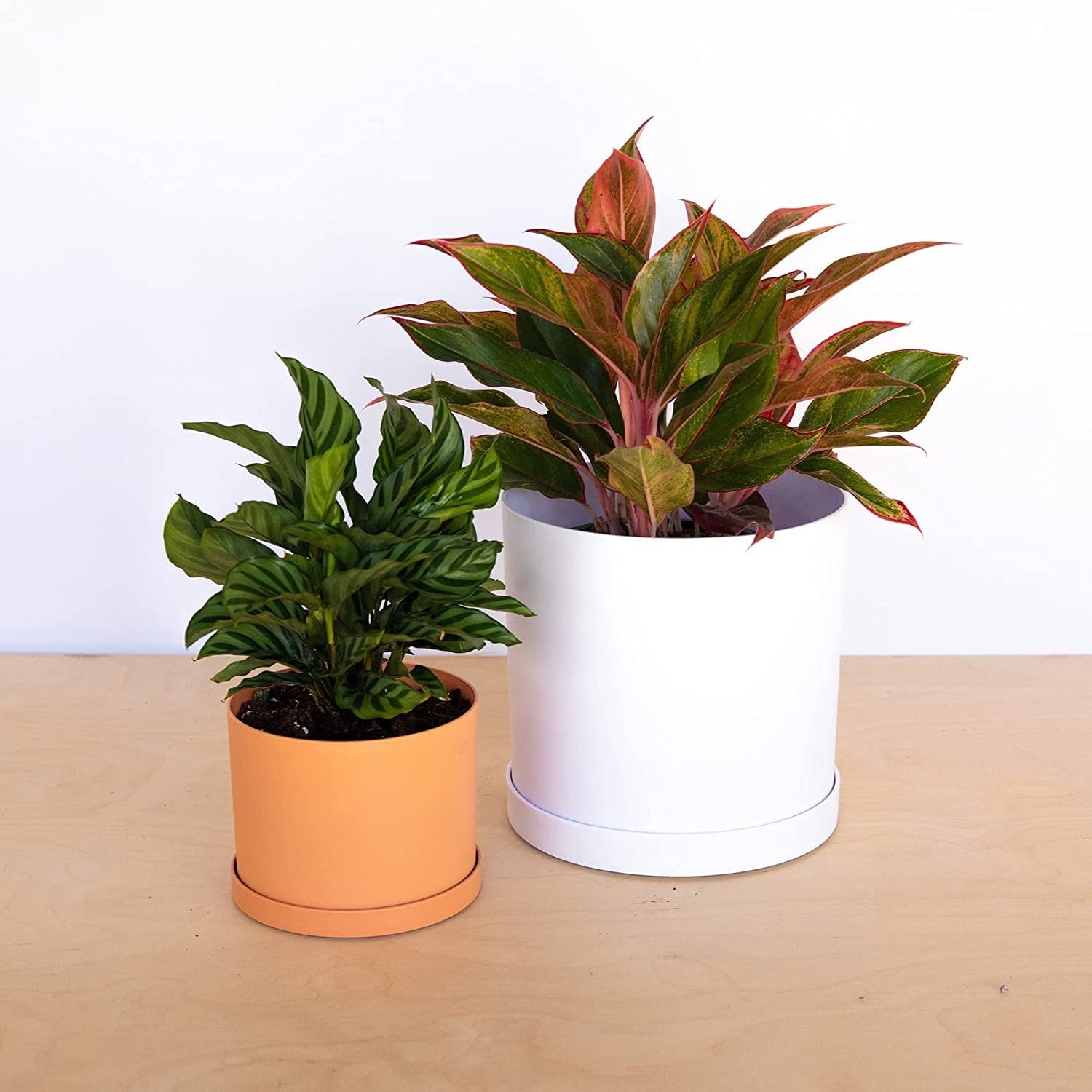 b1e559741105e8b8a00f0f89db364d66