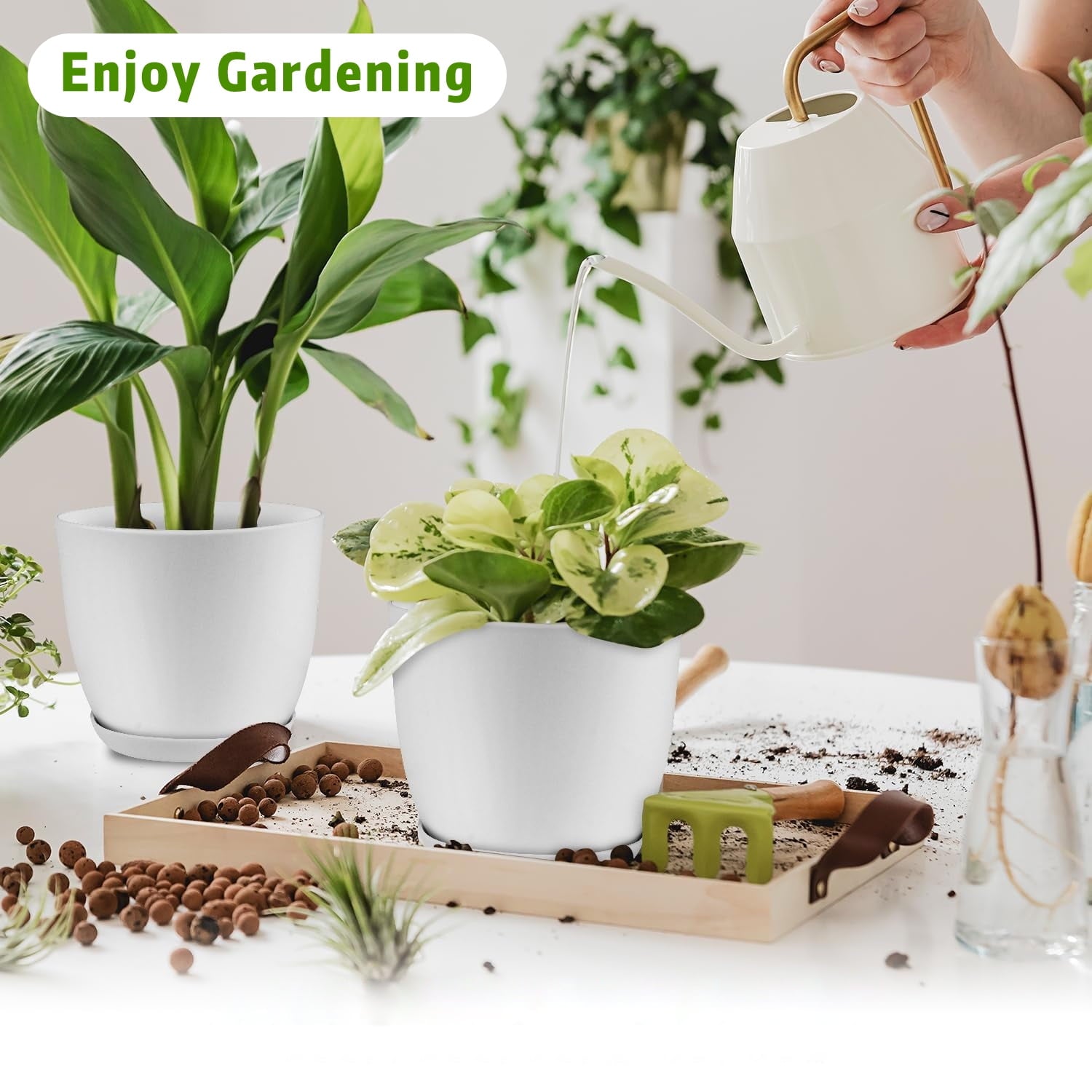 37632039940d9e678af6a956918d8144