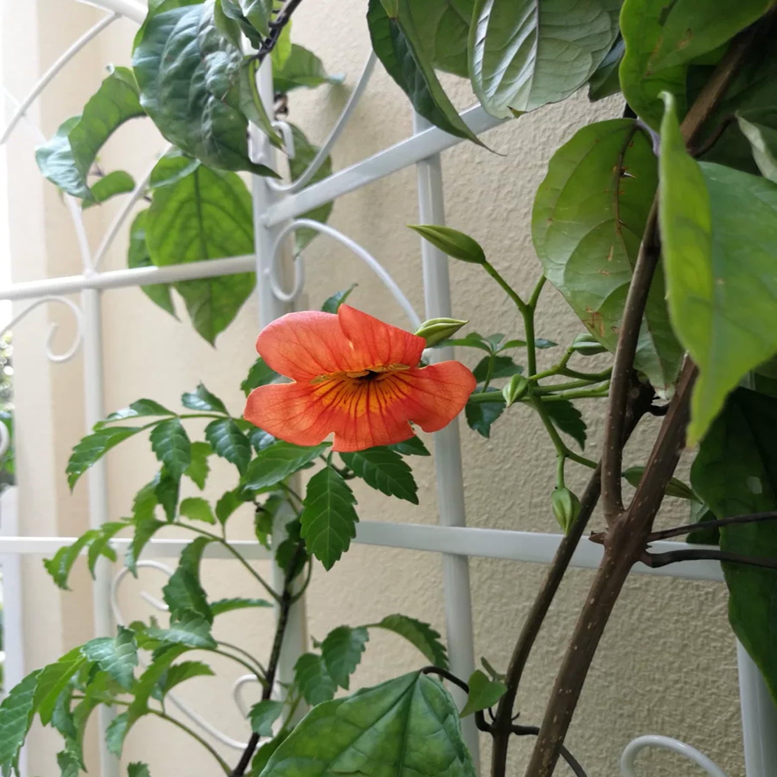 0f9ec86db728b1277307dc0c67100e8c