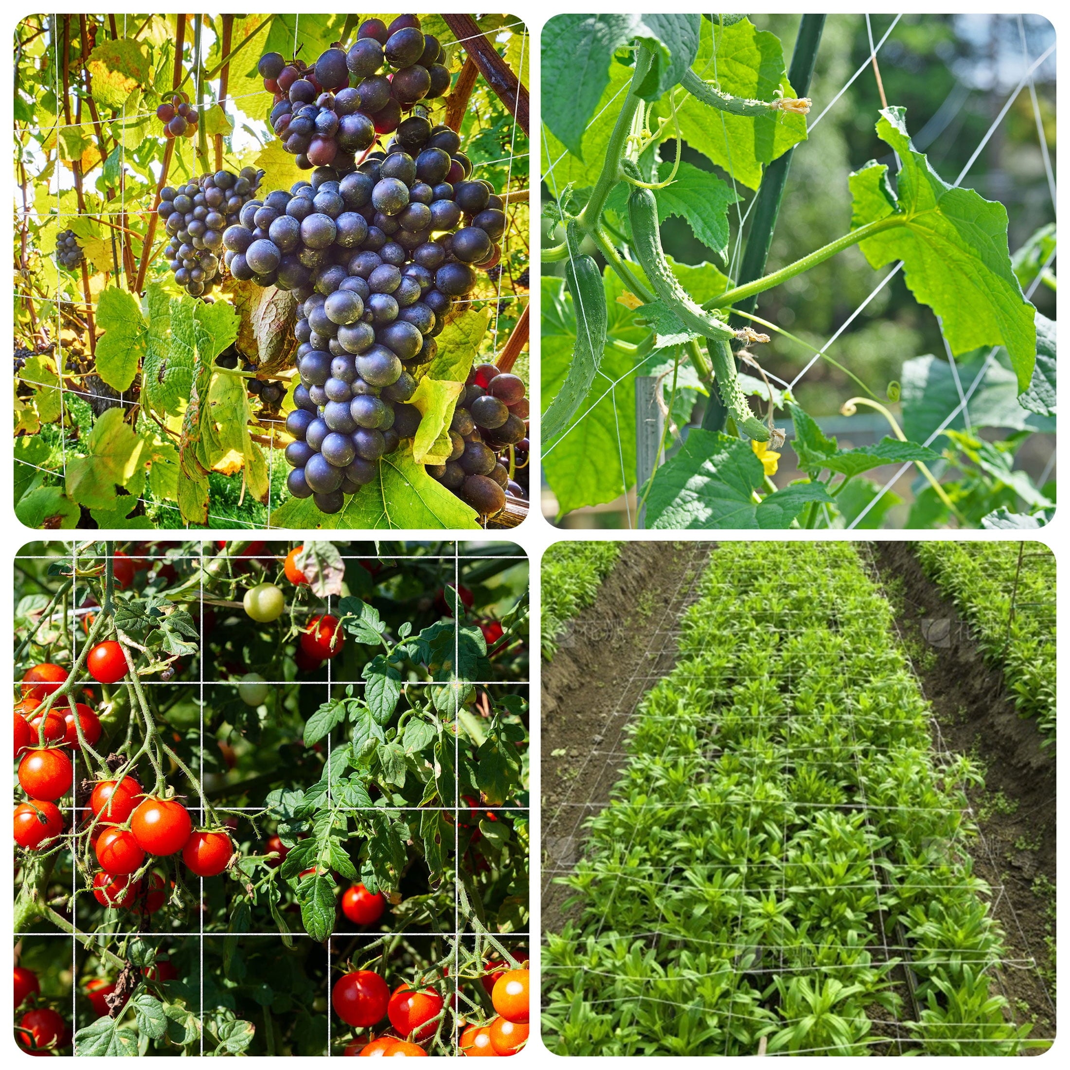 f083279818a2bf03f9a736dbafce60f4