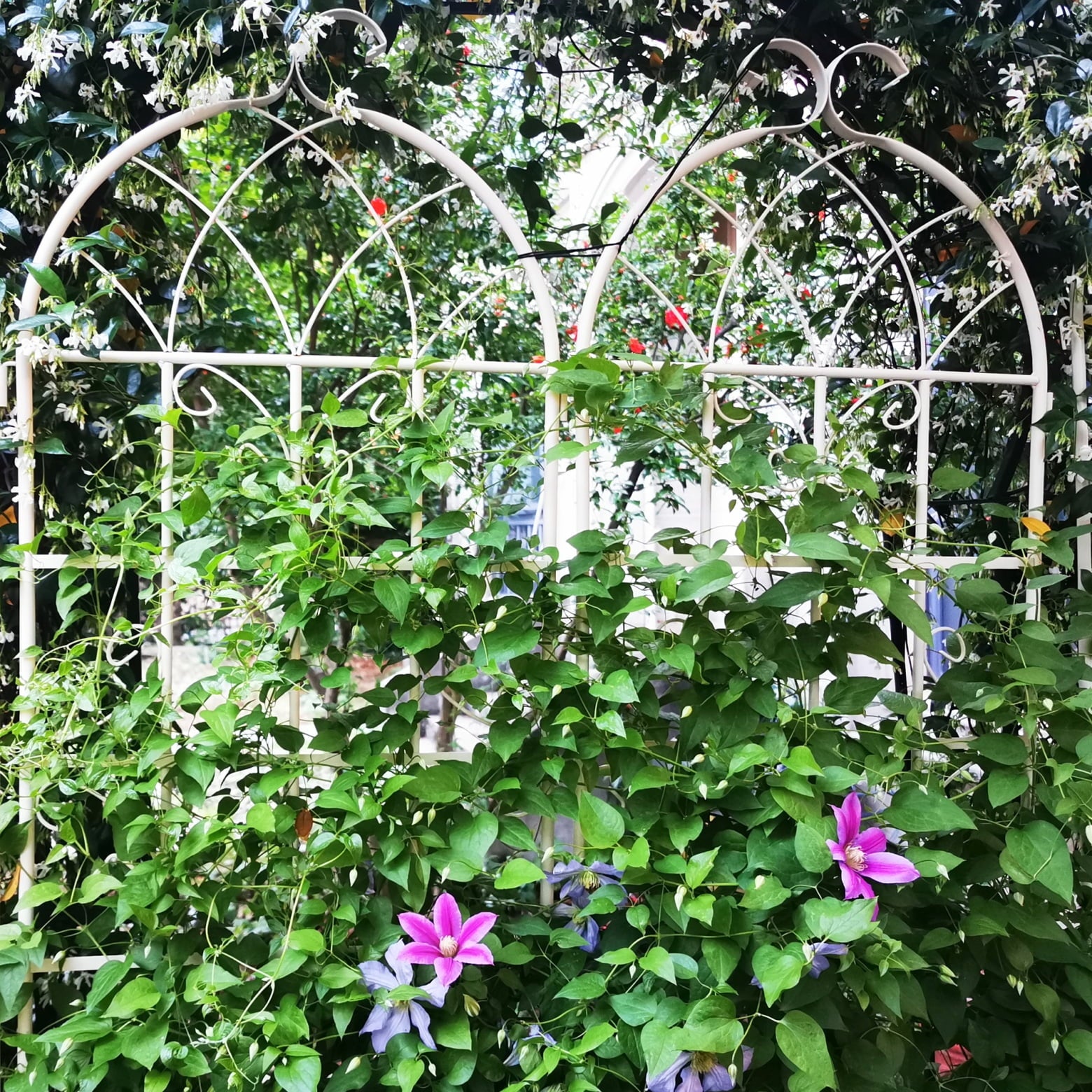 4507de87a6413e28478339ac9c797252