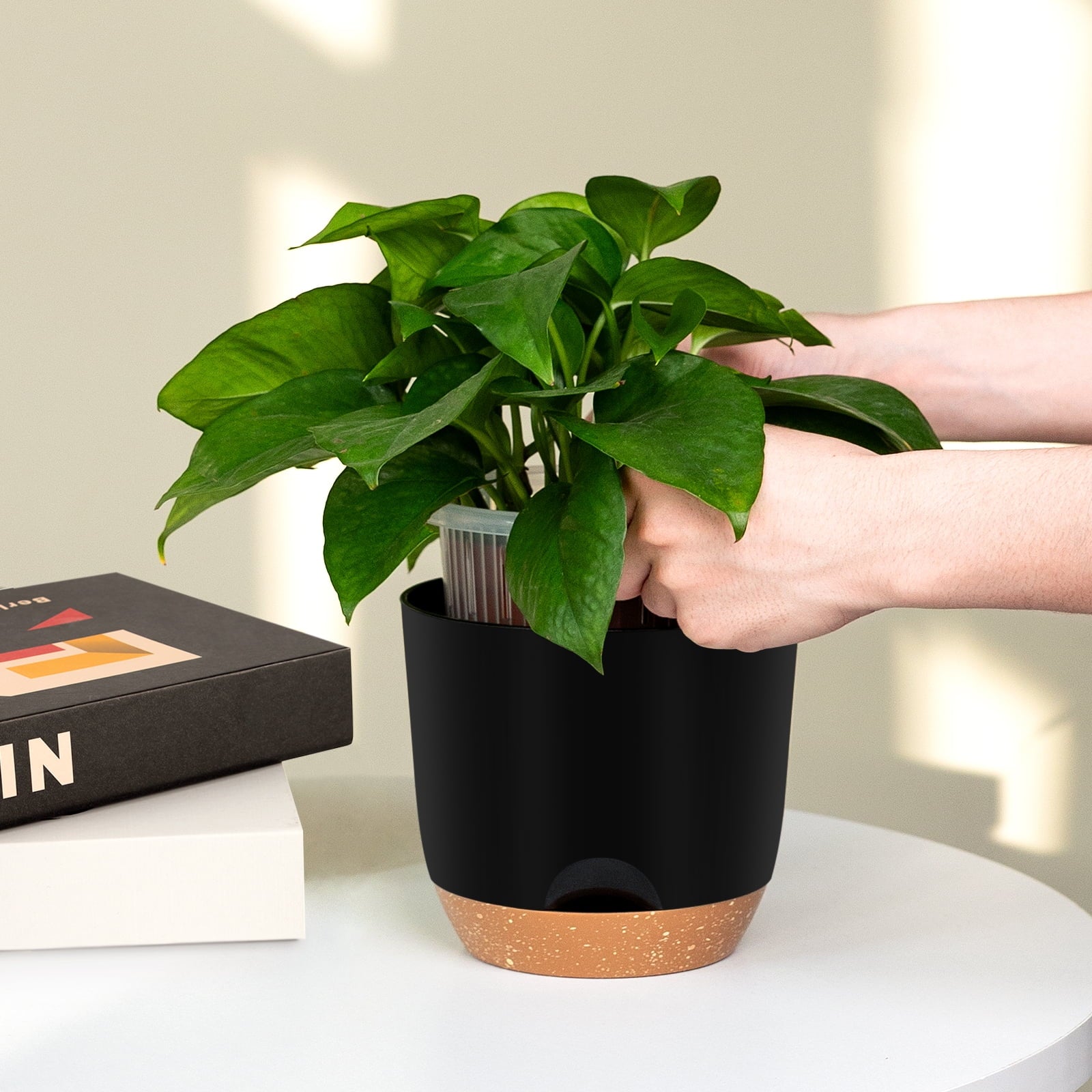 fcbdea0cb6114c4b83750fddd7272cbc