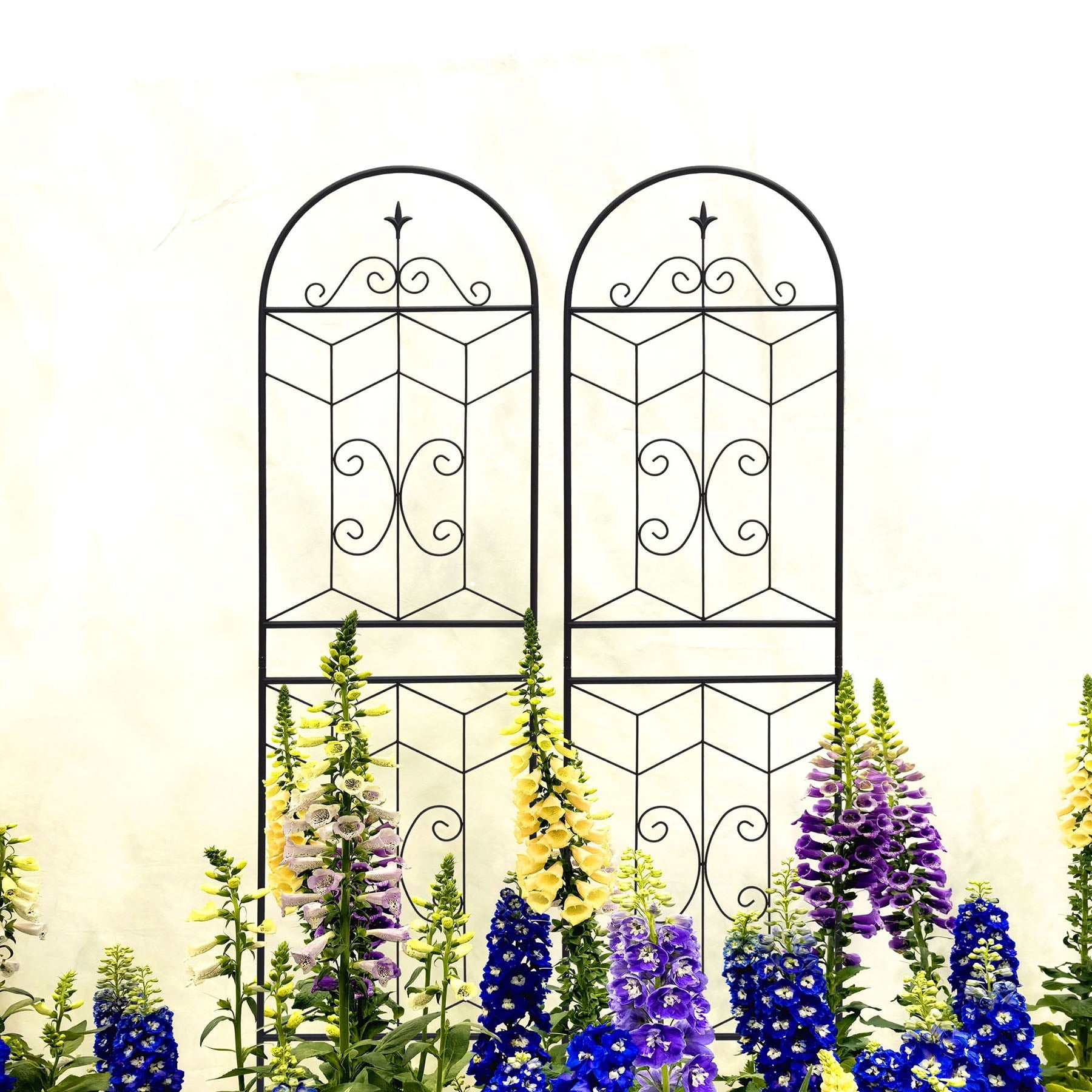 55e304b6e6929cd88720671d914b32ad