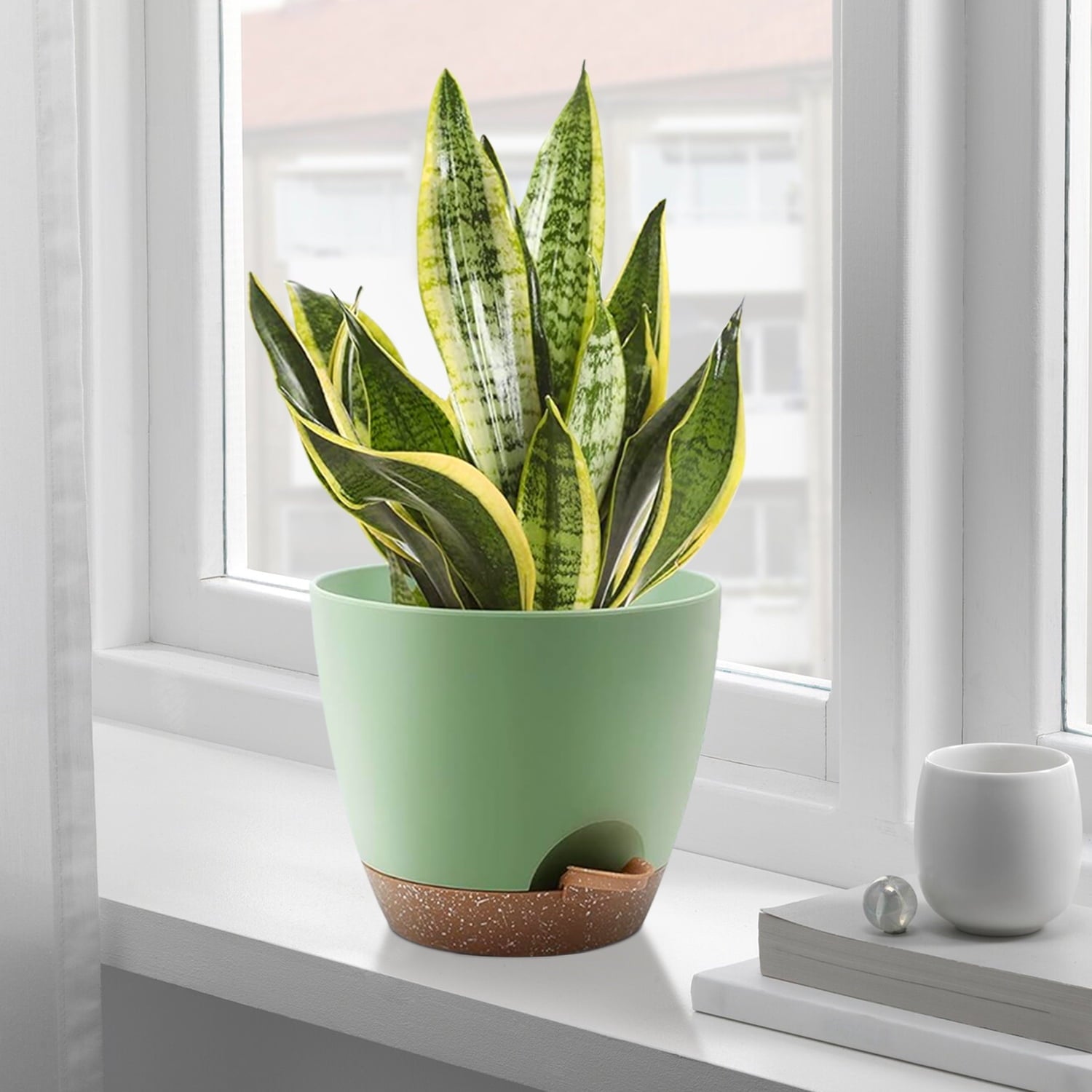 62491d11956cff1b80ef40a1e02815e8