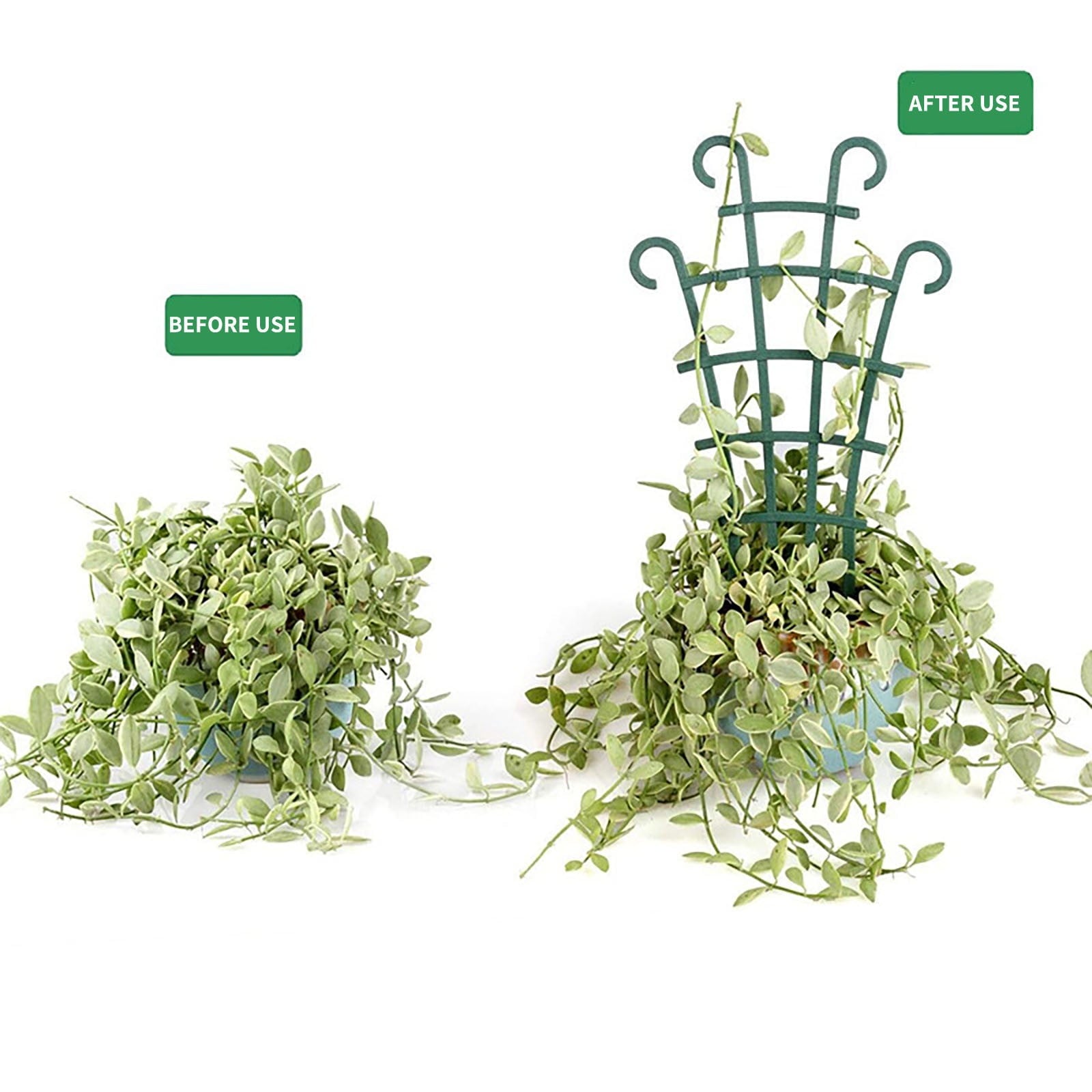 8b4fee1ef5e79a50adca731a839c7d73