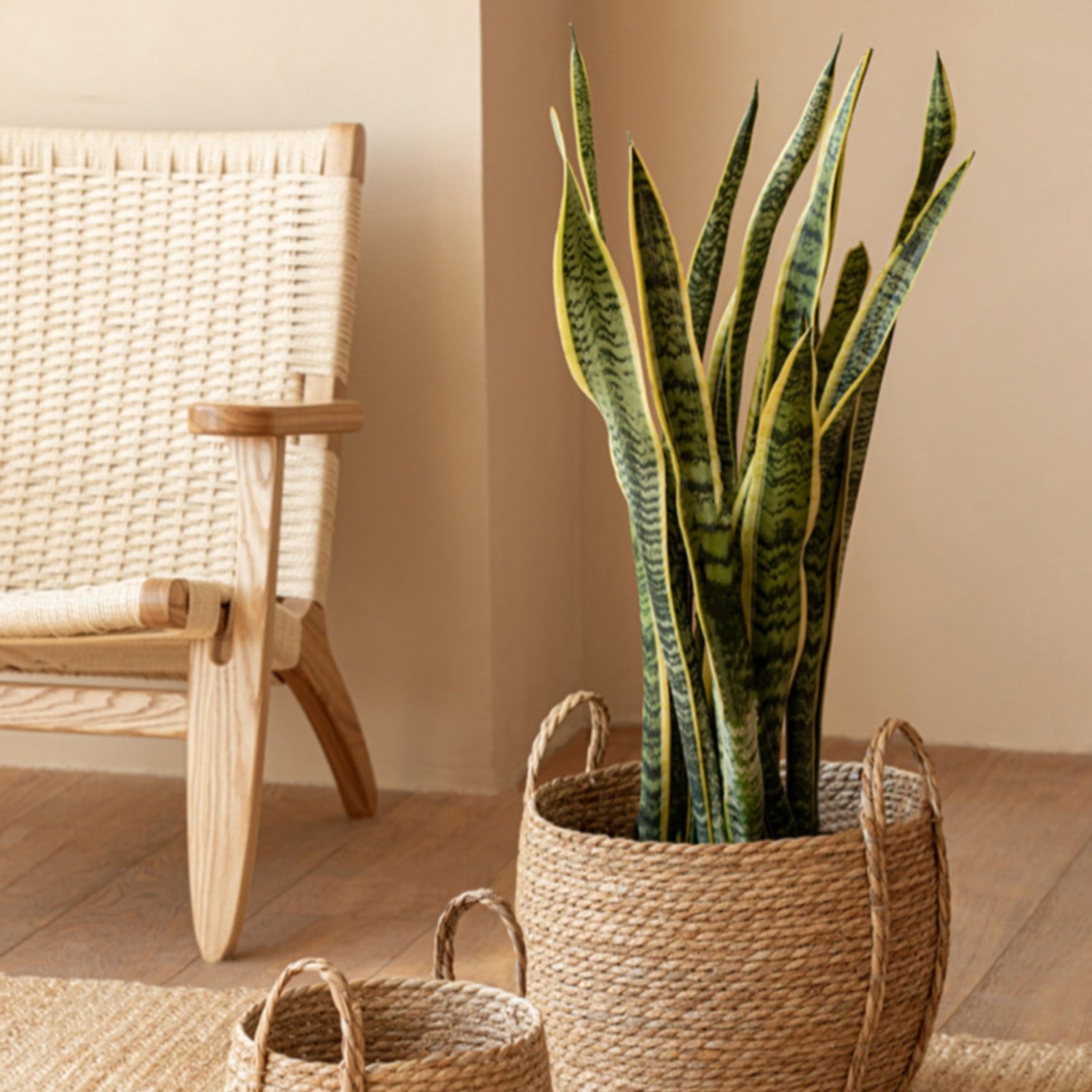 56faa810d3c3c45bc908188e5148926e