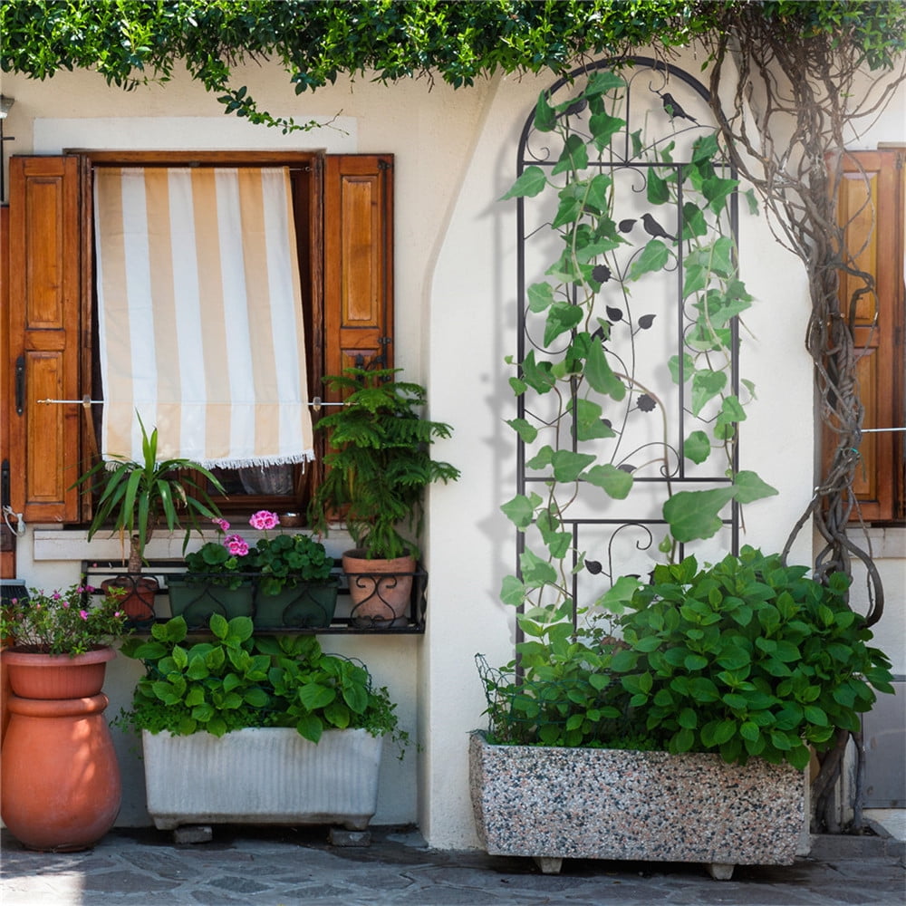 e90ab37769c4e2f1e16bf0b893dfd9ab