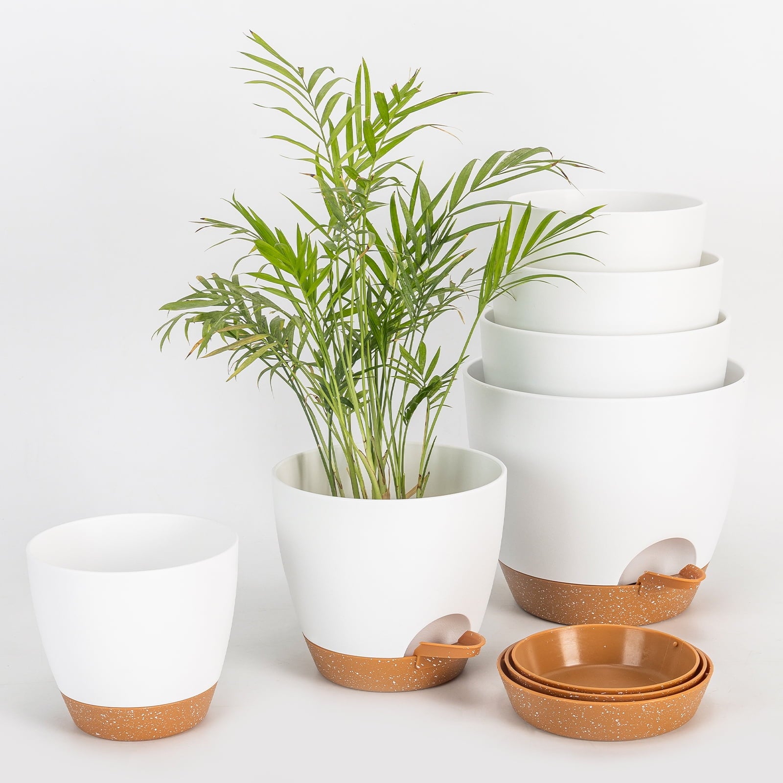 50598ef1339fec01404092070a611e3a