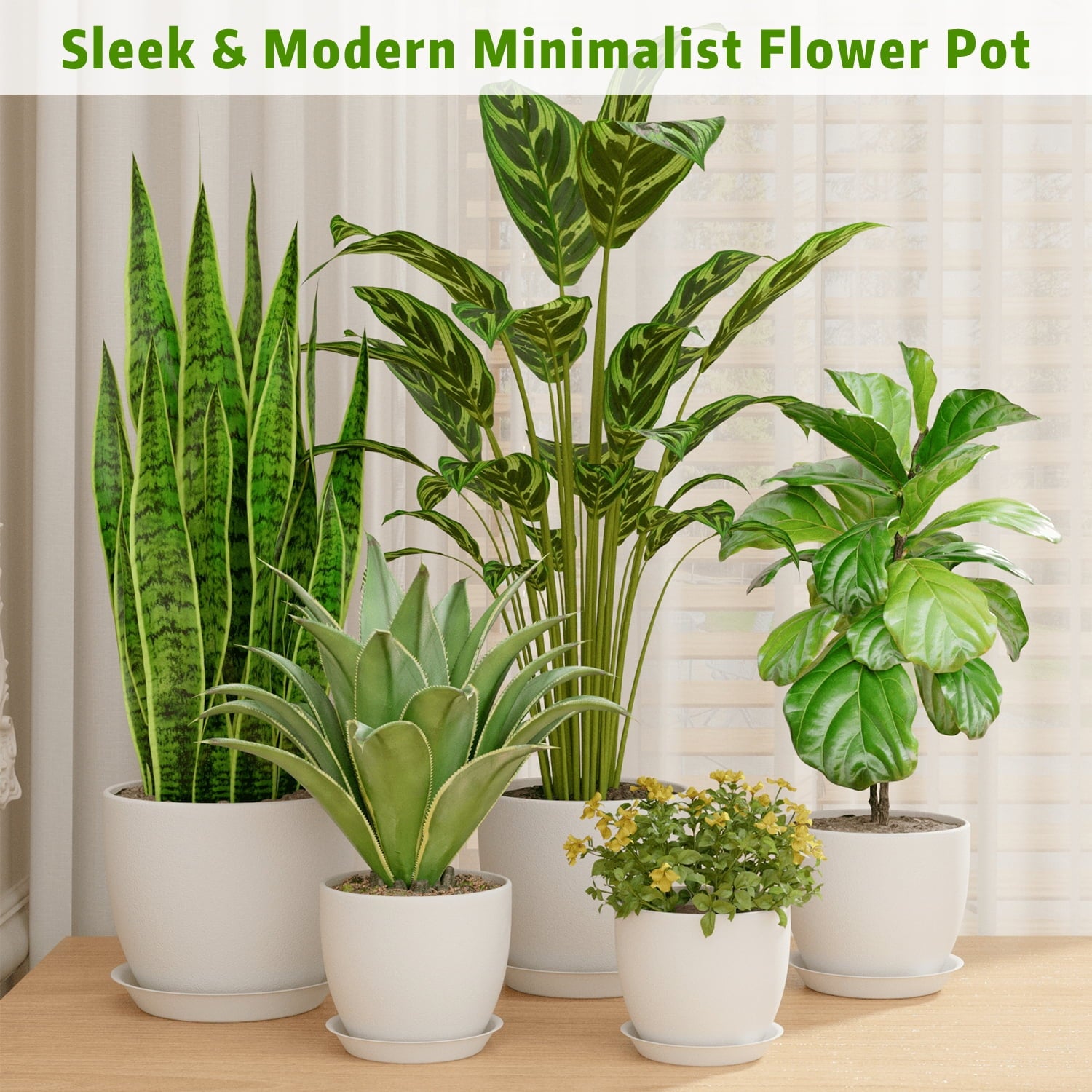 c7c55682d51400b5b66c22f39a1f16b0