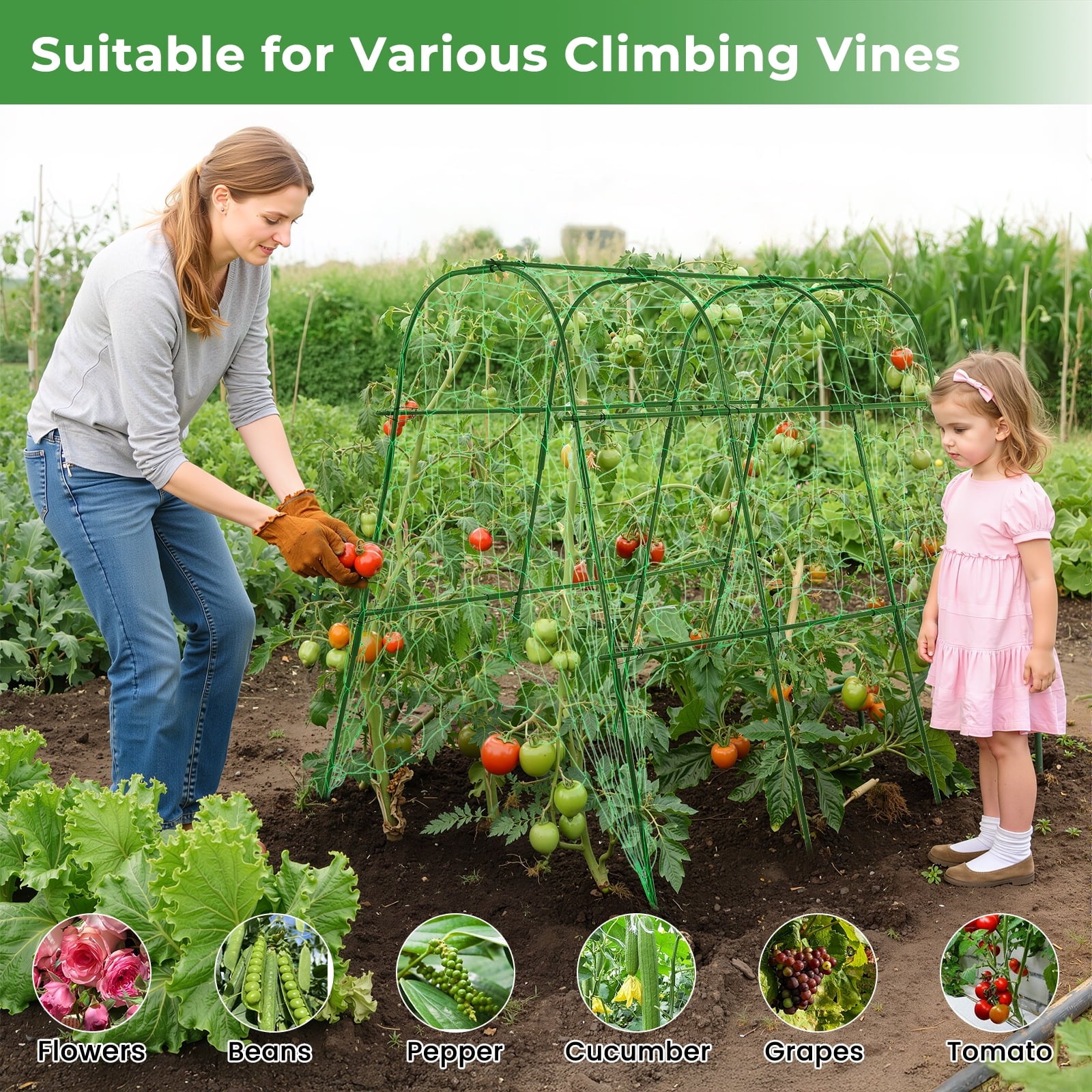 9ae81c92302be55e49458861afc296d8