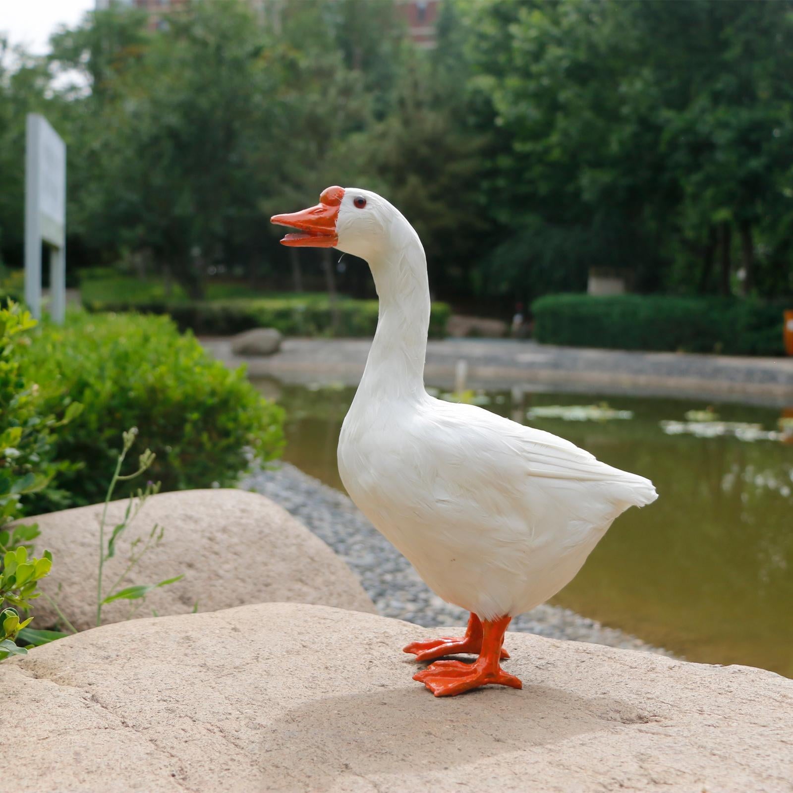 82f2d7a98ec4d9f86330ac0feecb2309