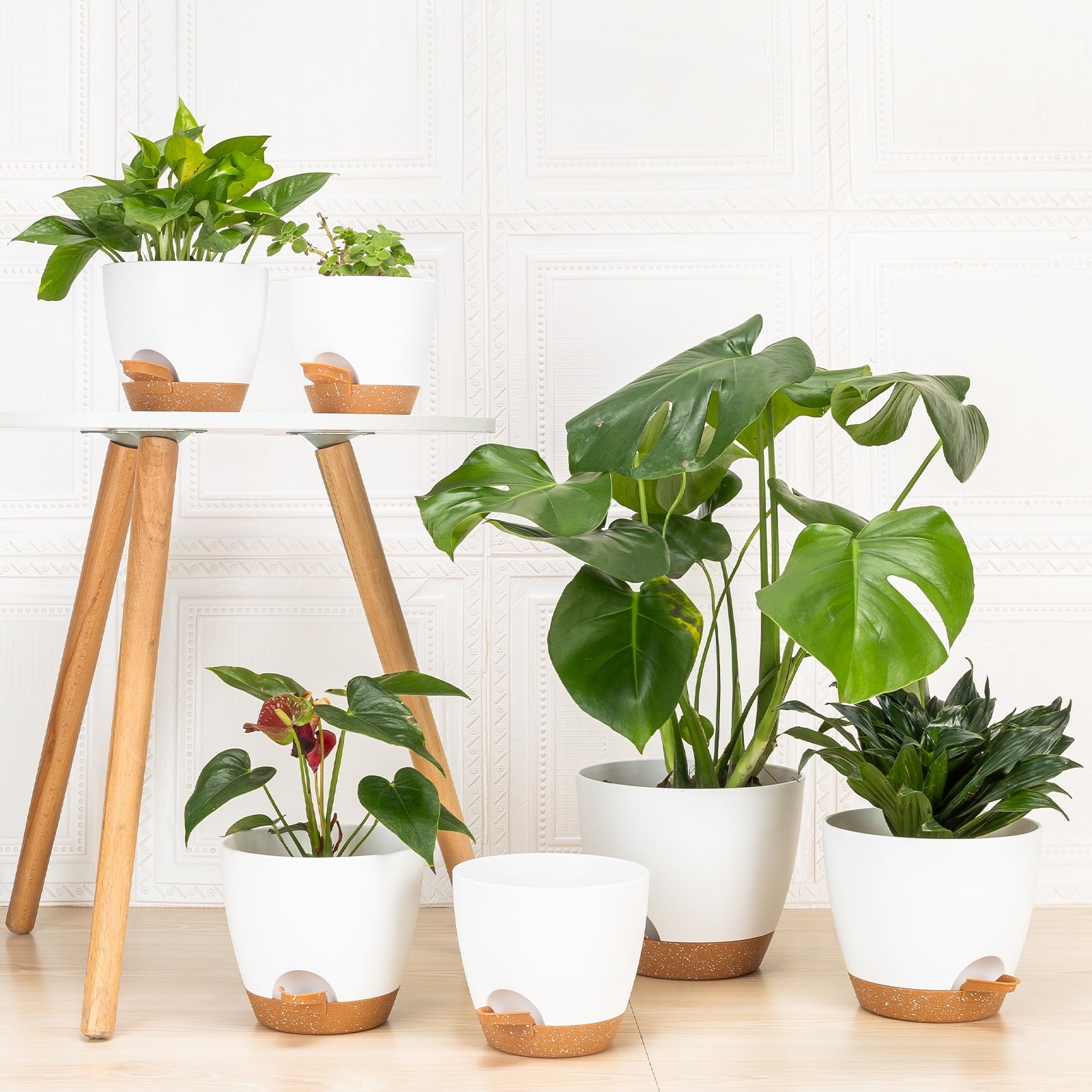 2ecf78d115960496fafd11b3f70f873f