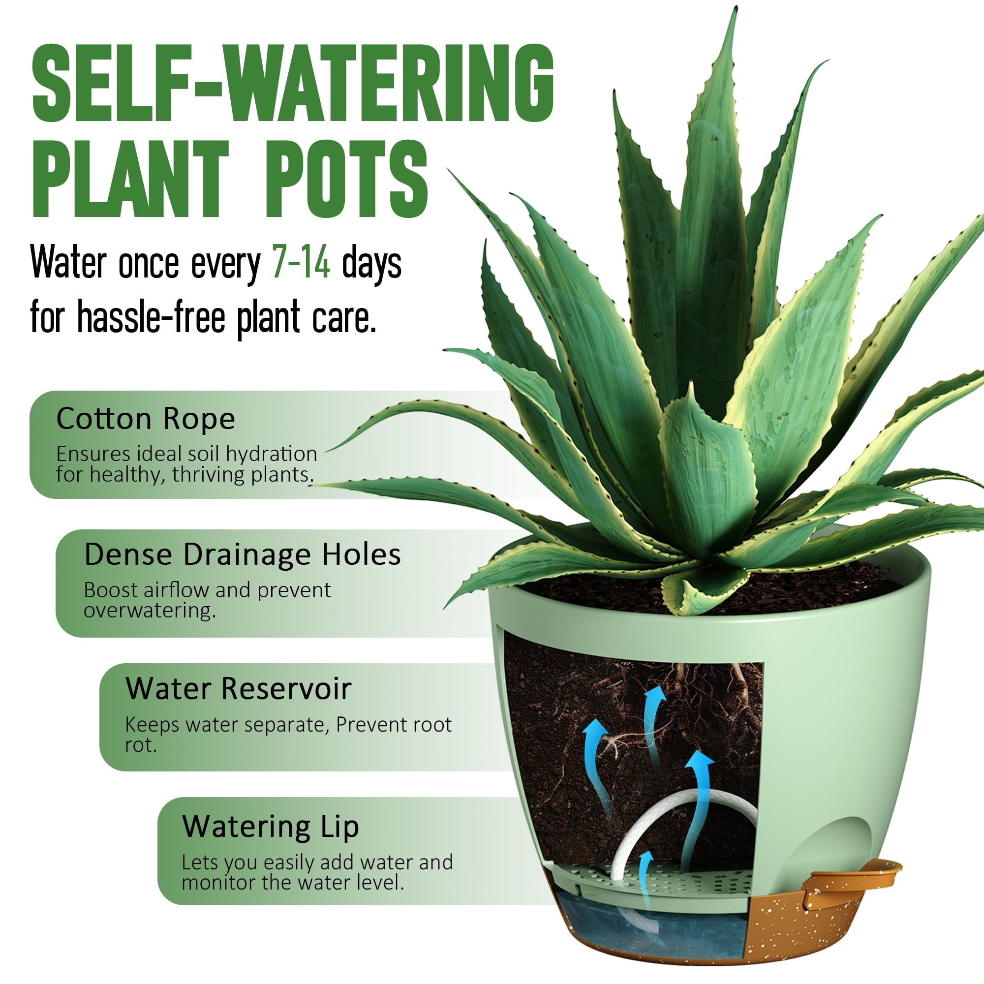 c23cd0d8684cde06db76604ccb065848