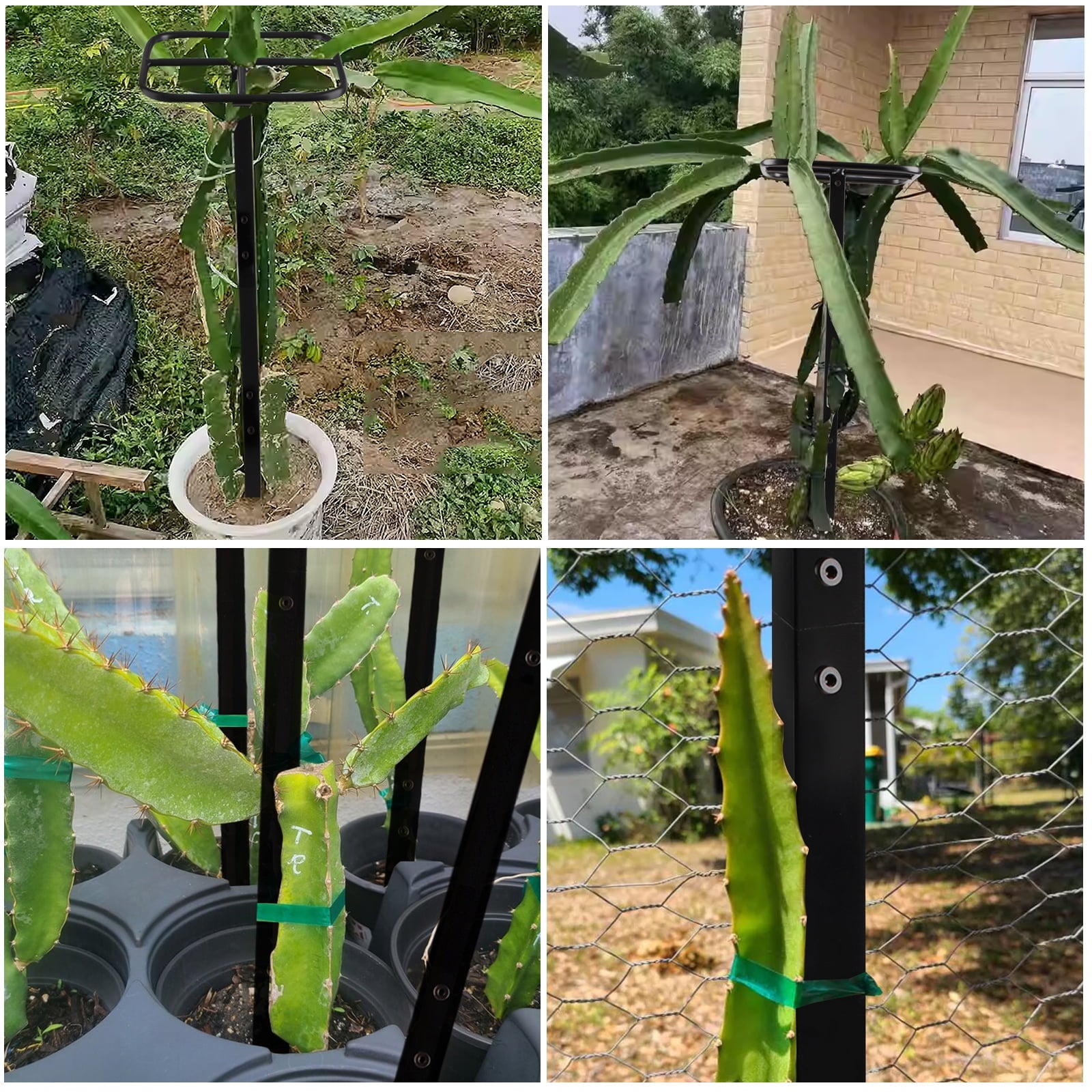 cf2cb95b4fc55322a12605ecb66d41b6