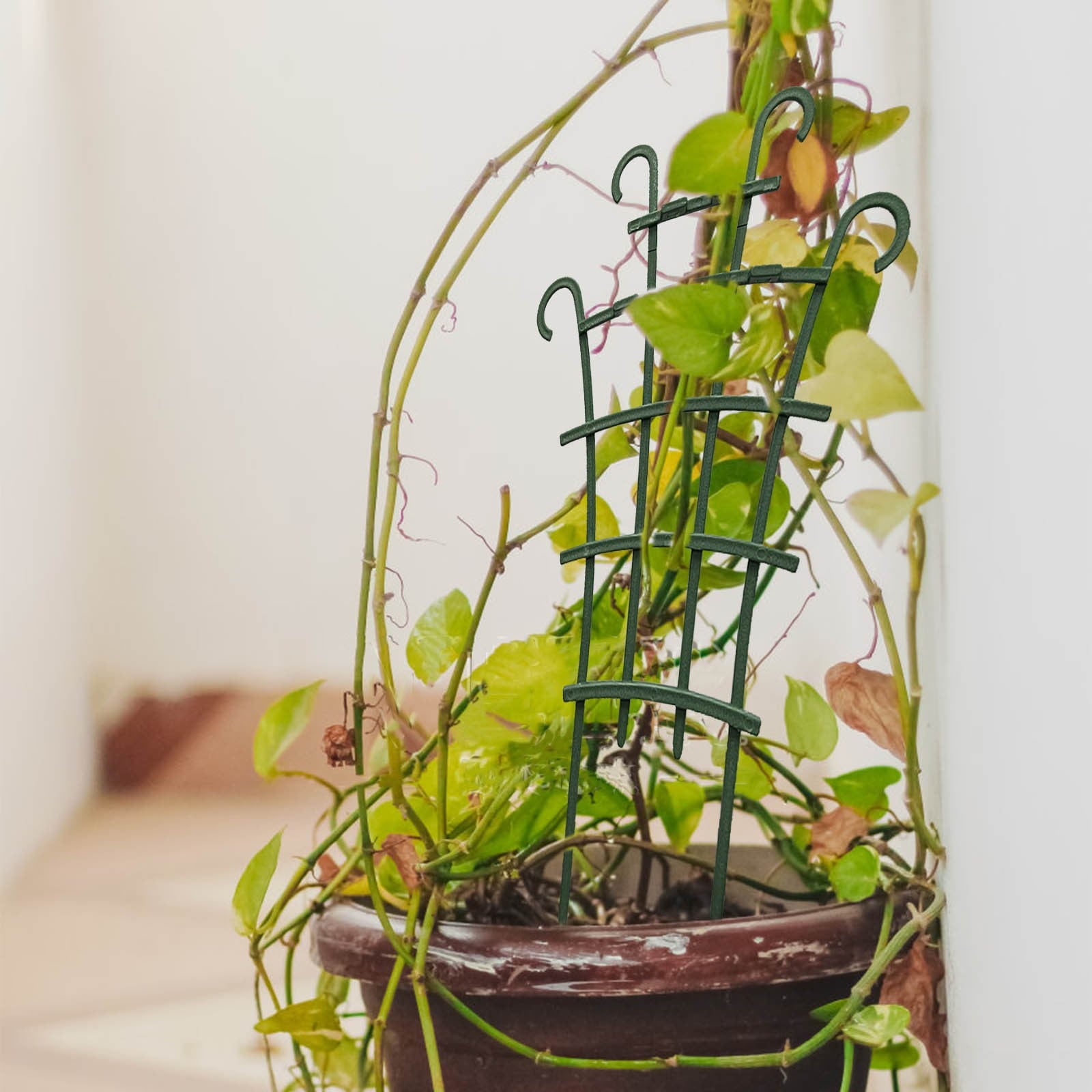 46b9bd978b00c624eb1c3b4bf6a78bb1