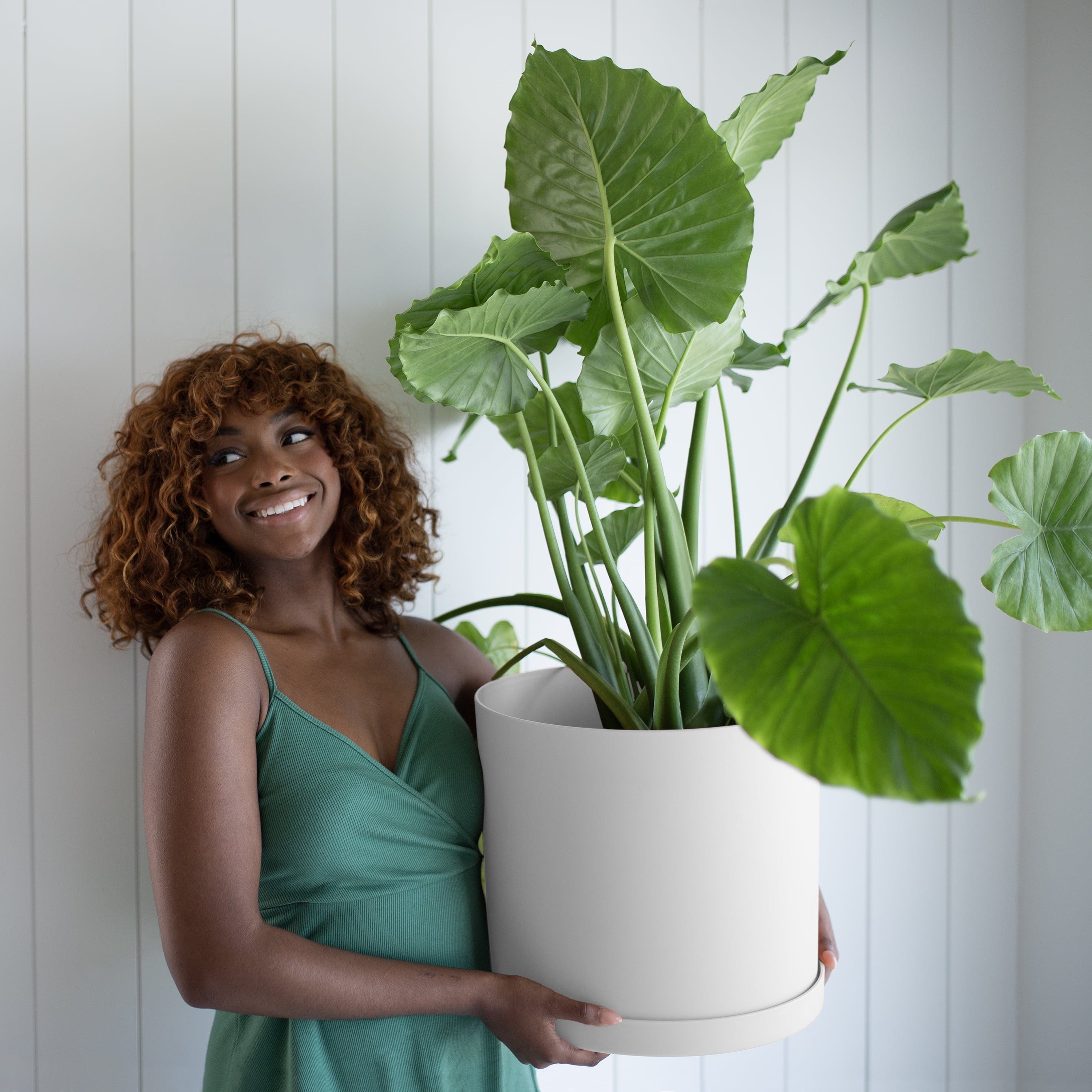 744272ec96b6dc37c34f678a32df2c54