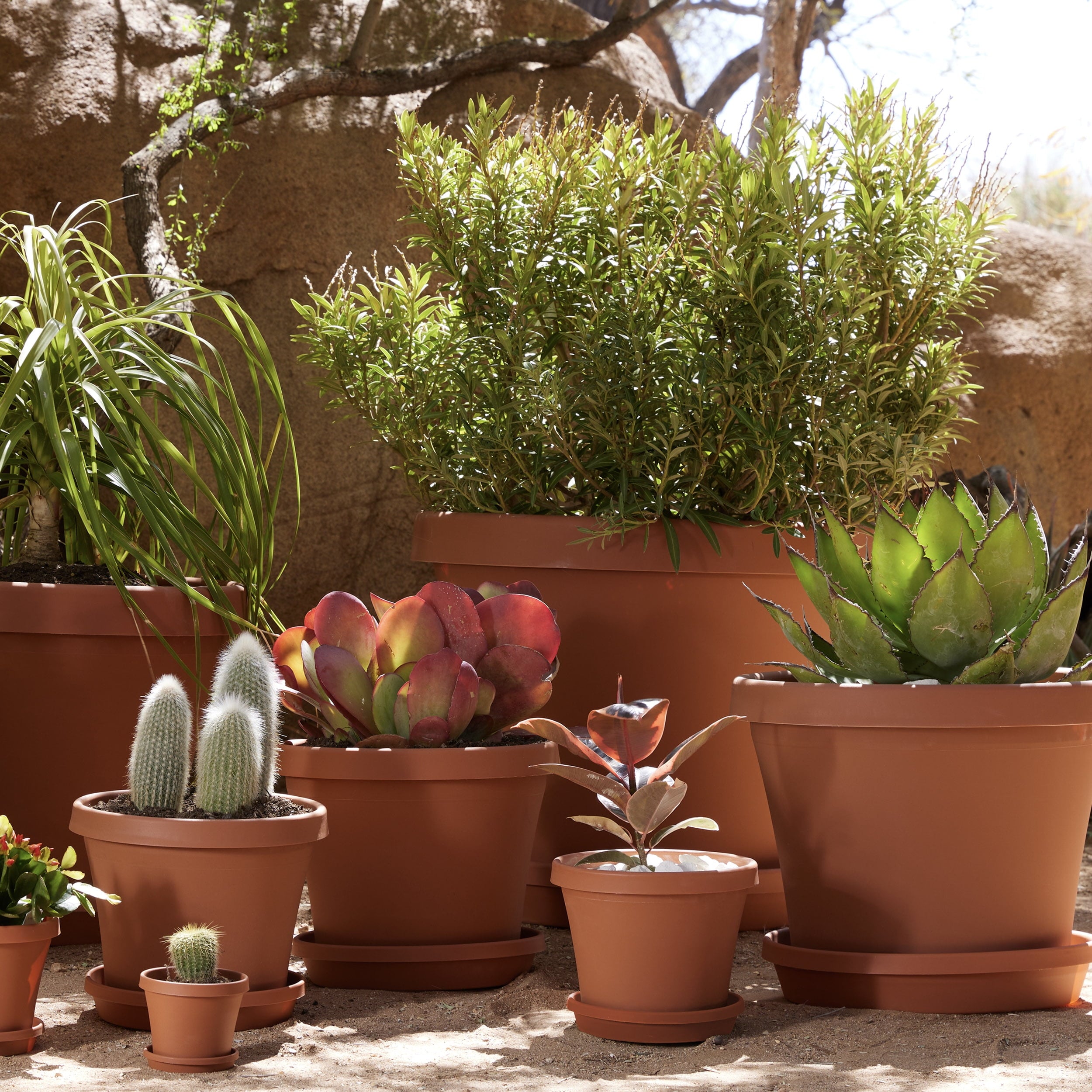 6240398a44c2dff3d3a23912e1e26ee6