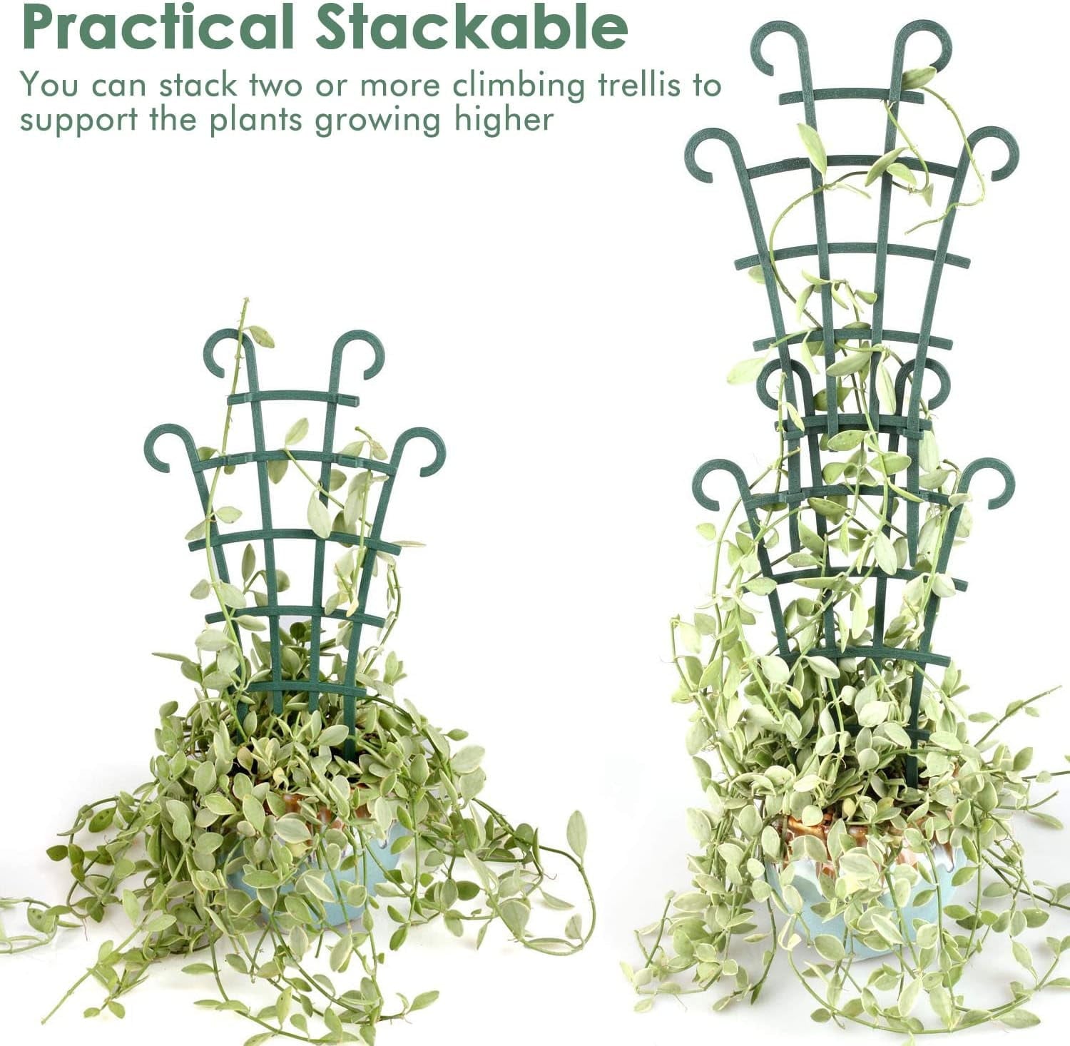 c8c3547dcb49d4e0b65befdba490502f