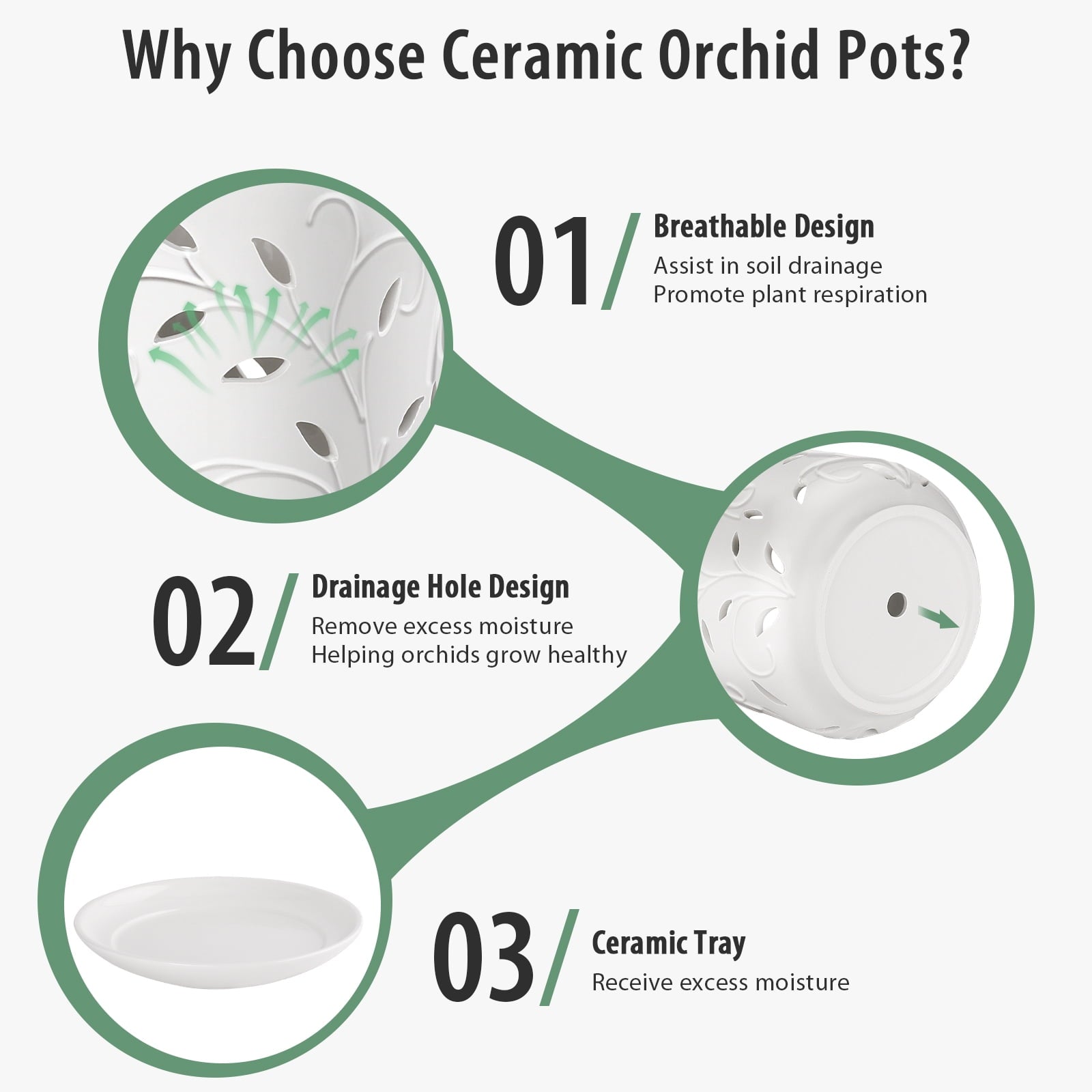 6d0202f81c0ac81b400a5a5944cc9f49