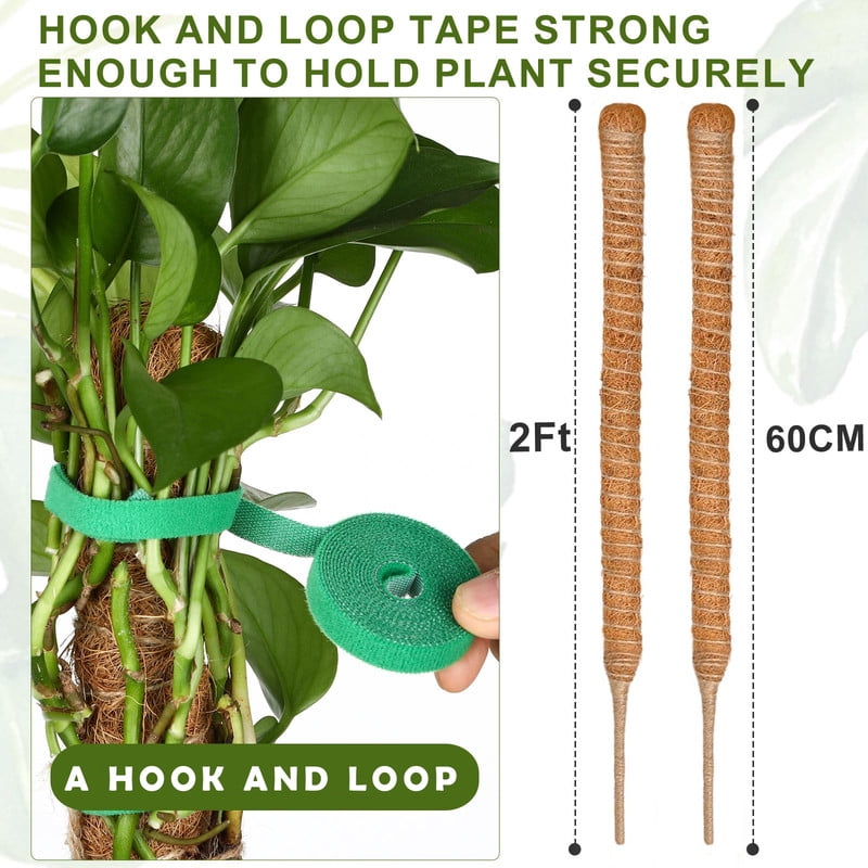 9ccf27596eba884eb239a15c9de6f57c