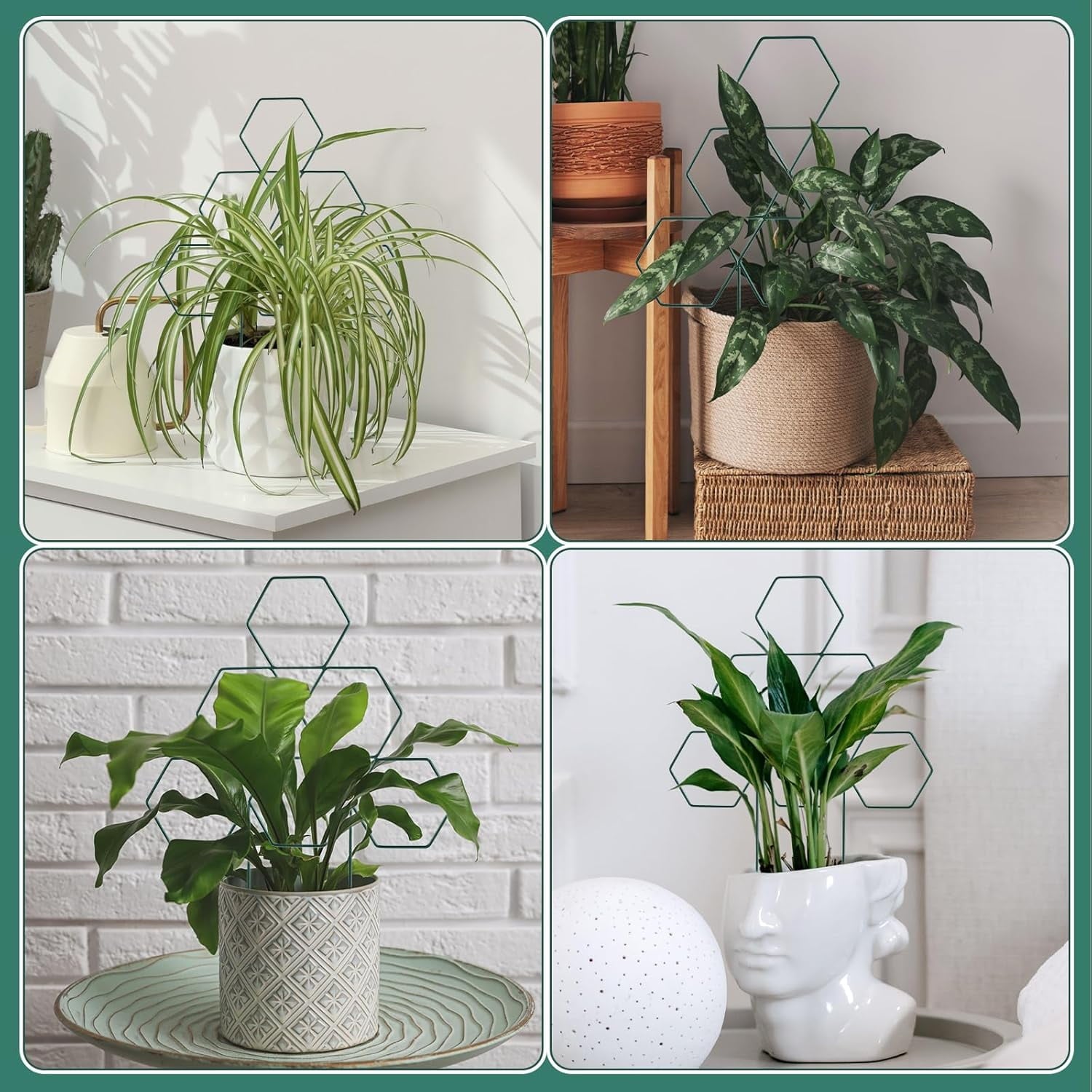 c1e864128065f05082bb78278098394e