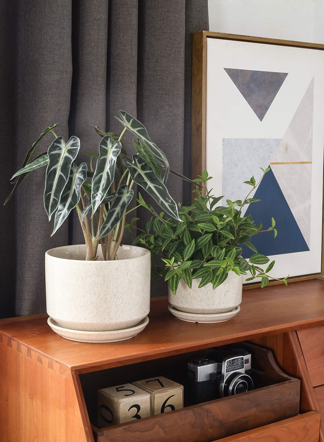 a13b60b647a54d8807acc0bd30f6071c