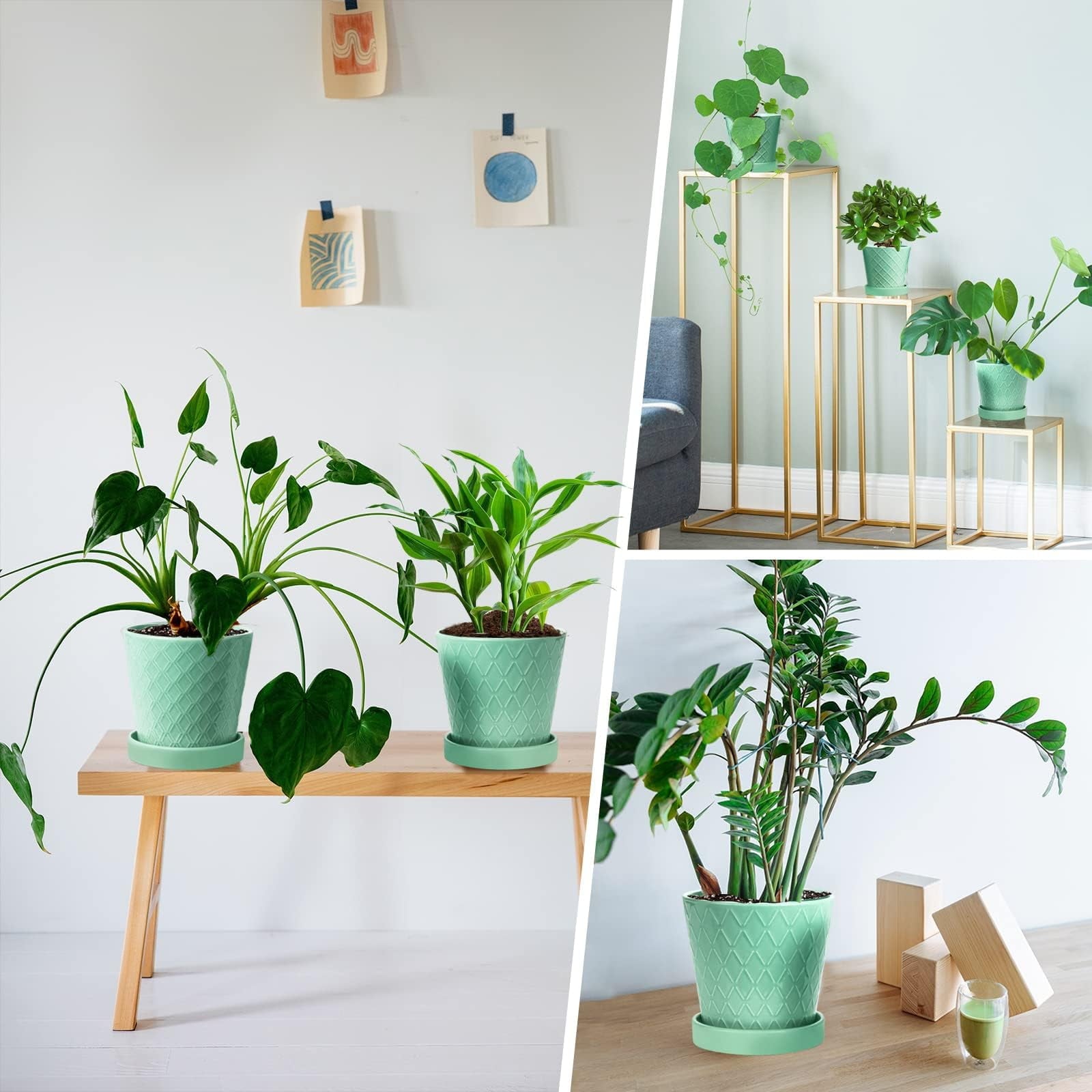 a538e78879a4fc90dd1da29539fef120