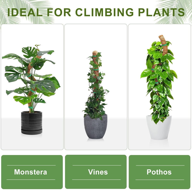 d9a0efd8160a188d6b31ce0f8130980d