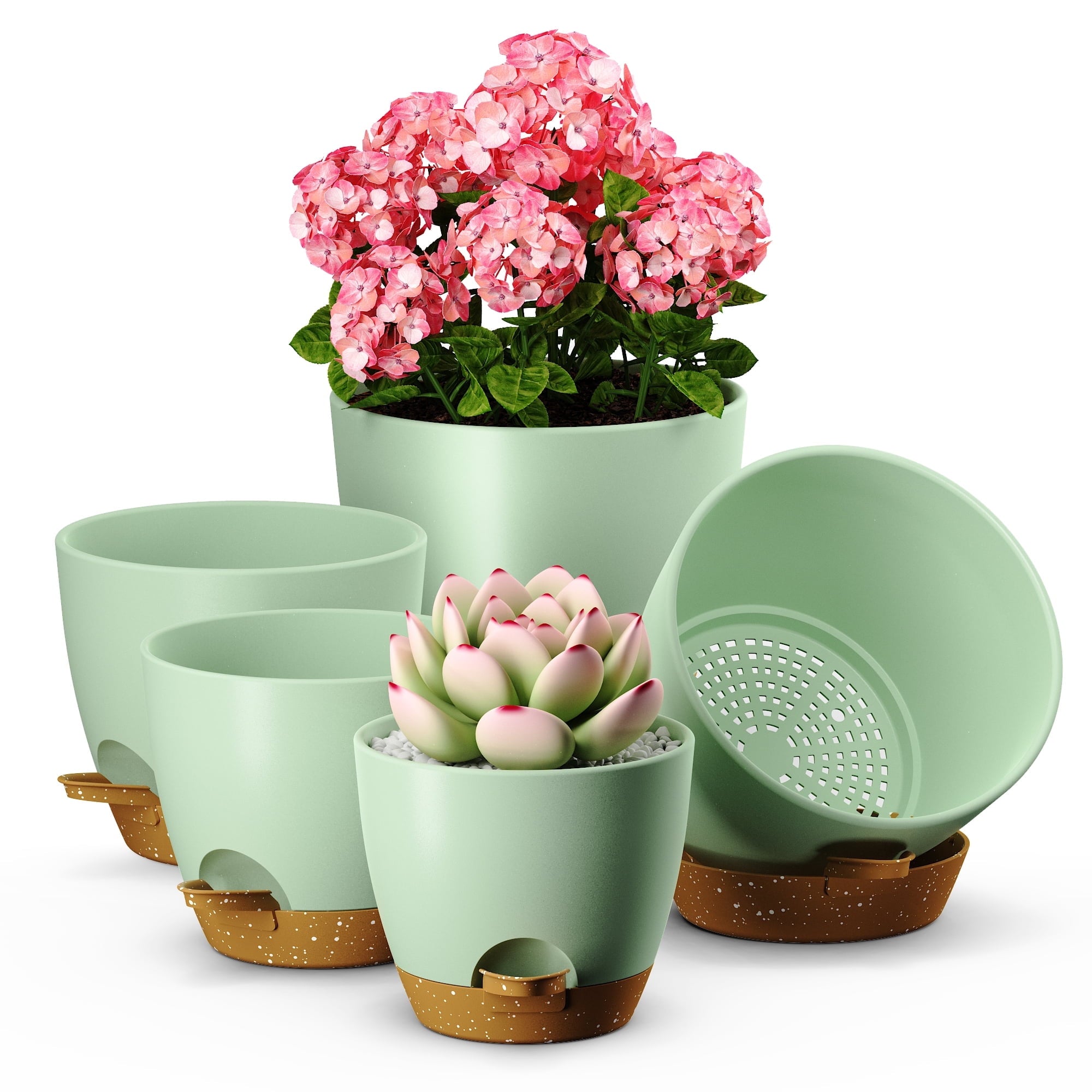 c23cd0d8684cde06db76604ccb065848