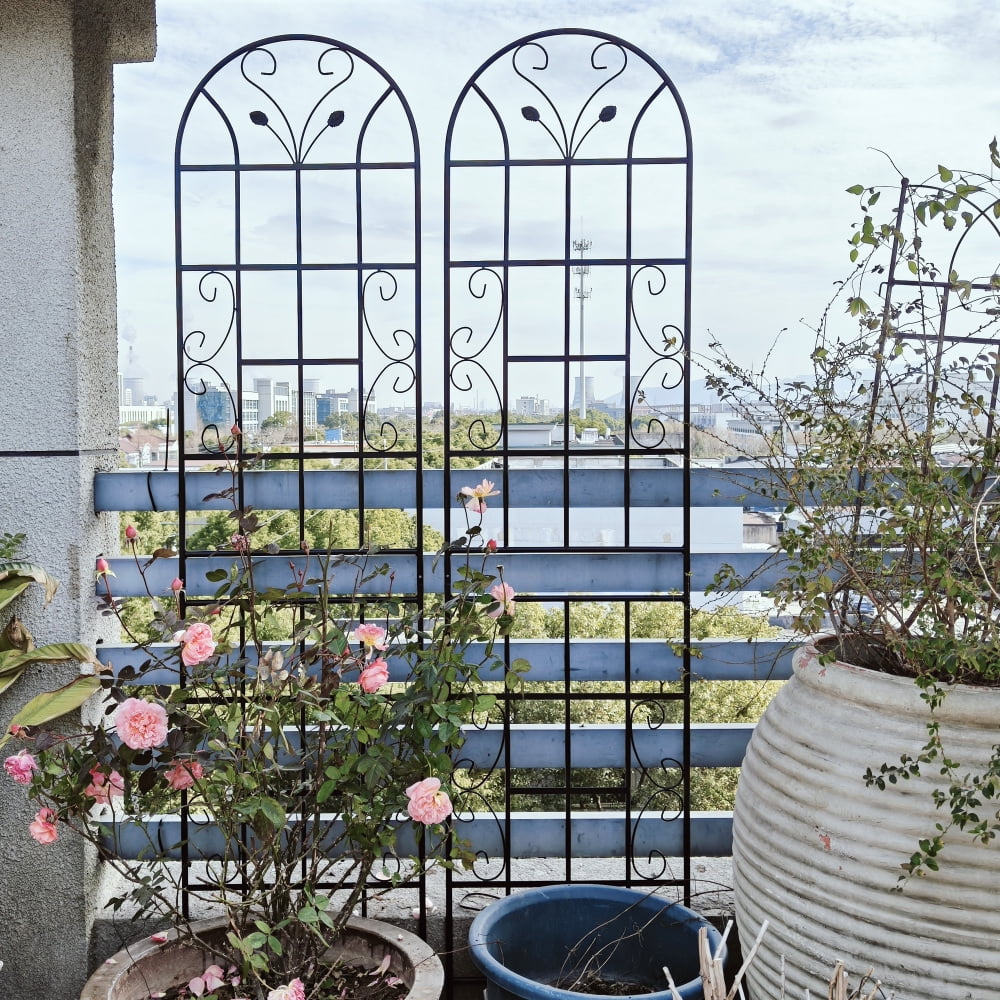 51dba6de1f1600c58573396f7935ca7d