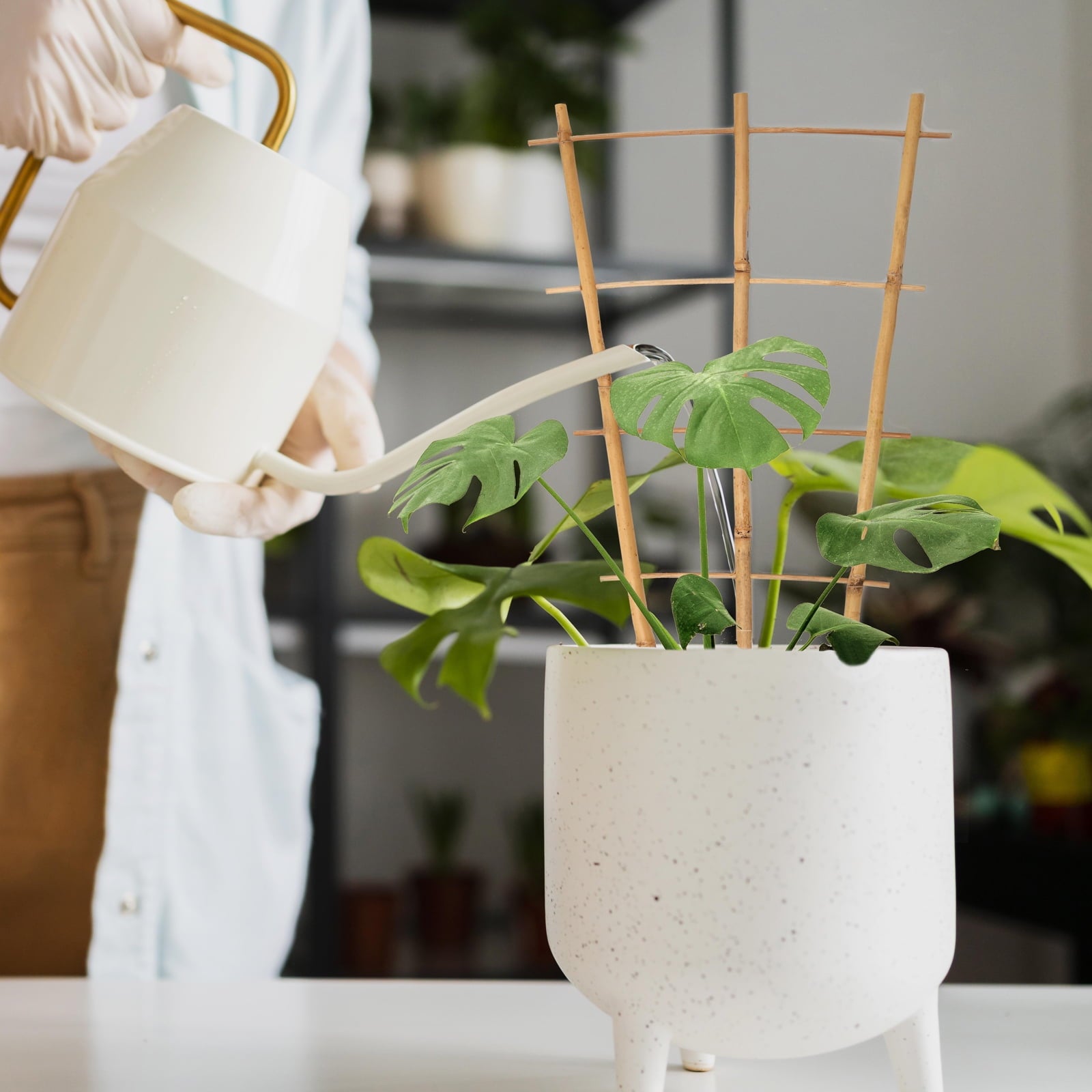 2a822120d9f8783e6e63abdfb85053cf