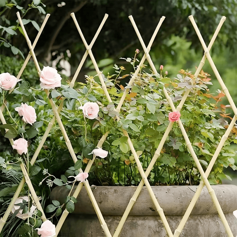 74d76333c8cd01e306924b8c55c1fba6