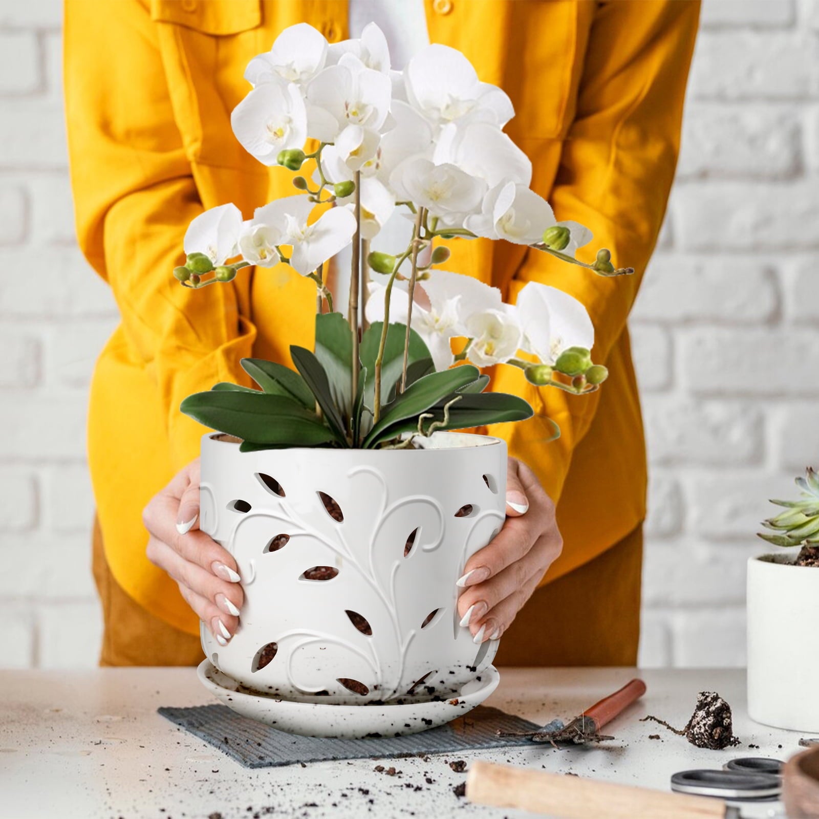 439158fb43fcce1a236e8c58352b7f0c