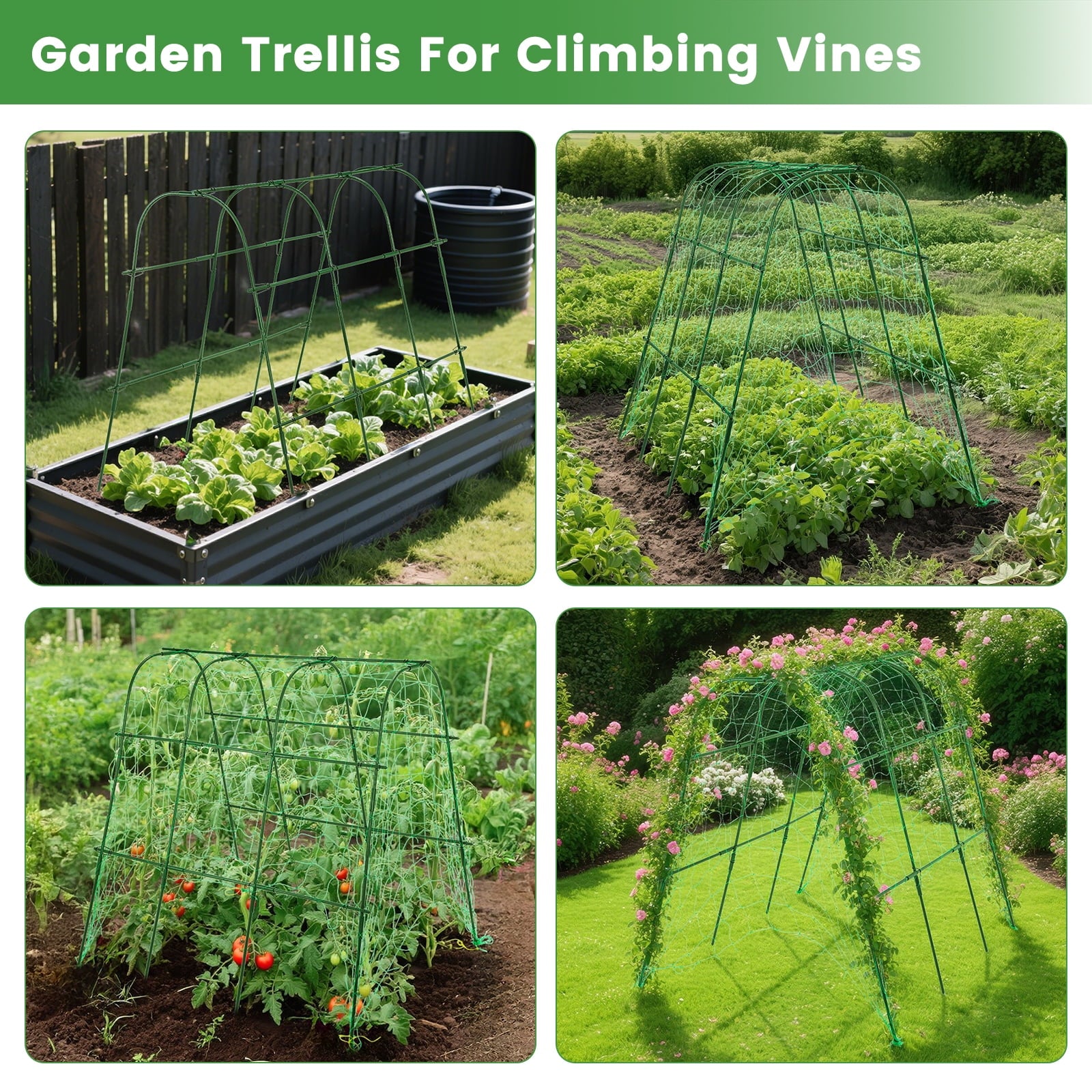 48a8c4bdb4f44456813503870ccb04e0