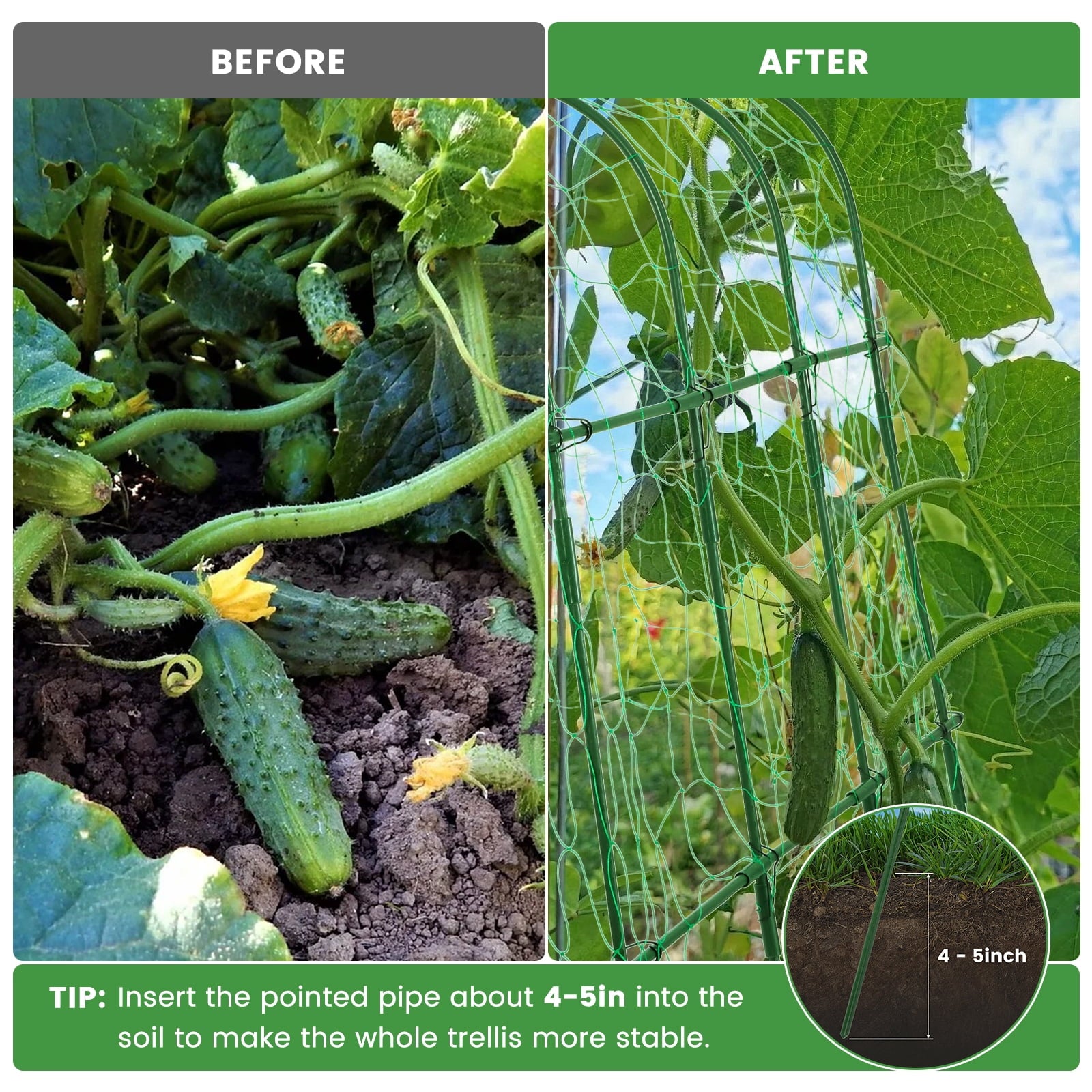 c52446cc3a40be1a40e457bd9c401bd3