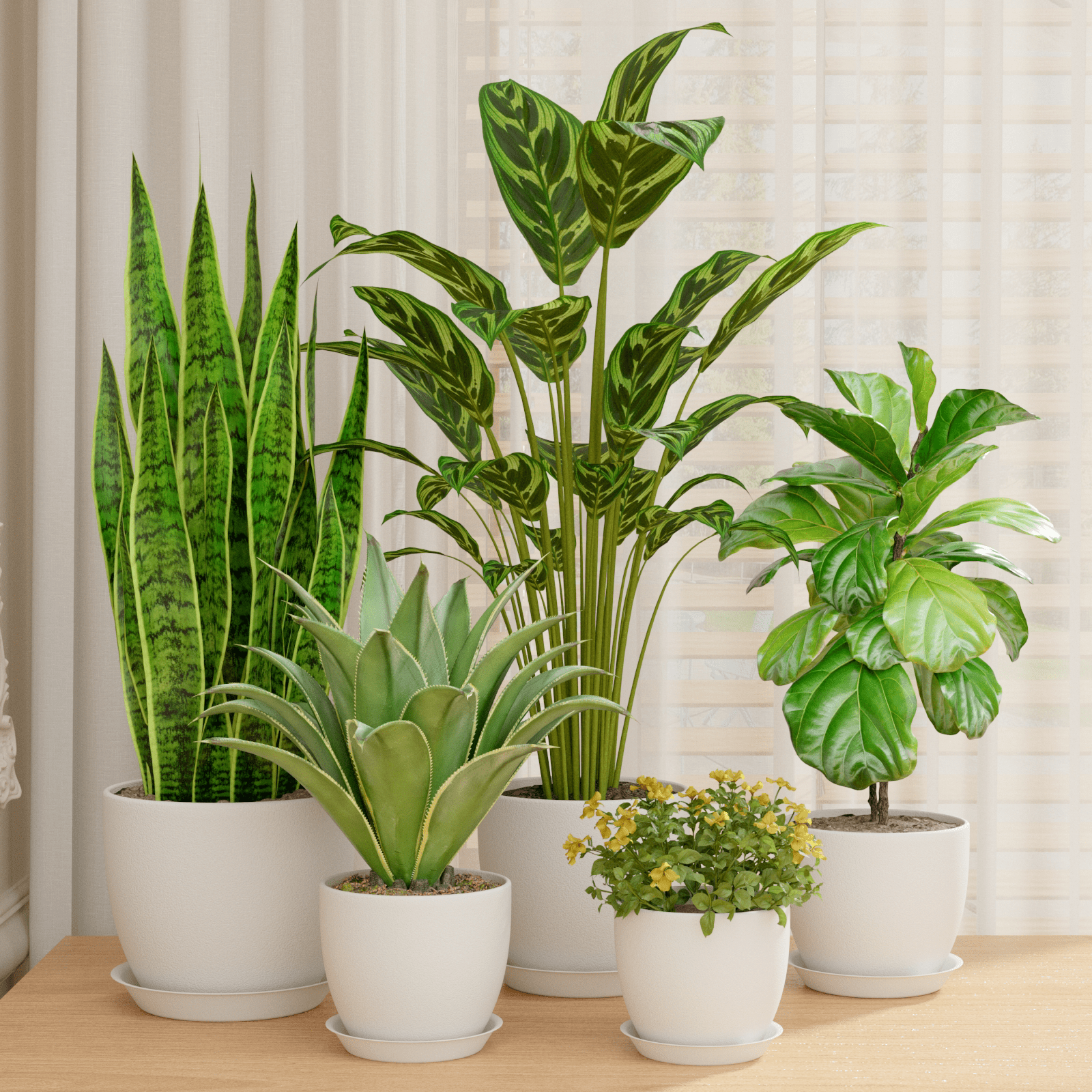 5e5b8e76edb35d7be3ed212efc039e98