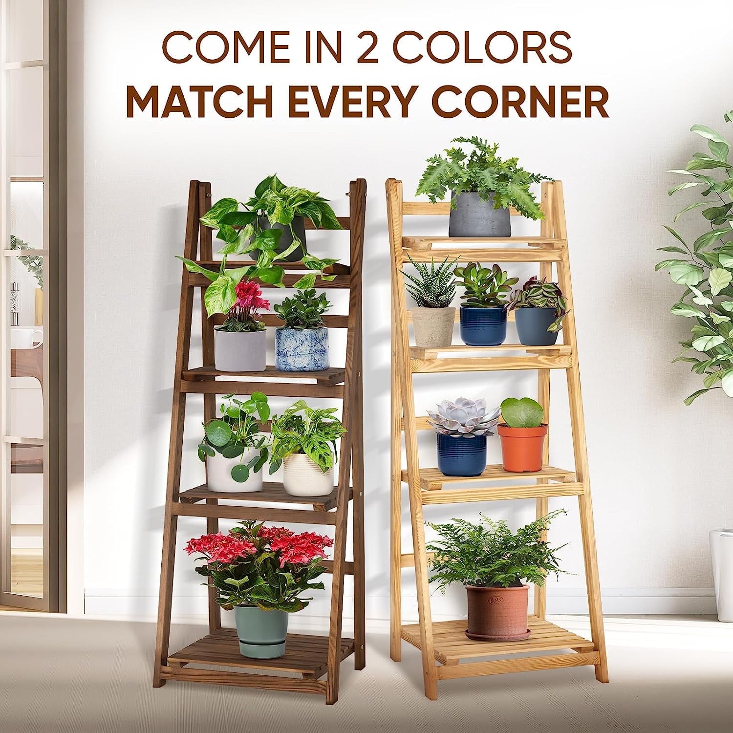 cc415efefeacaf907a64a6782f586494