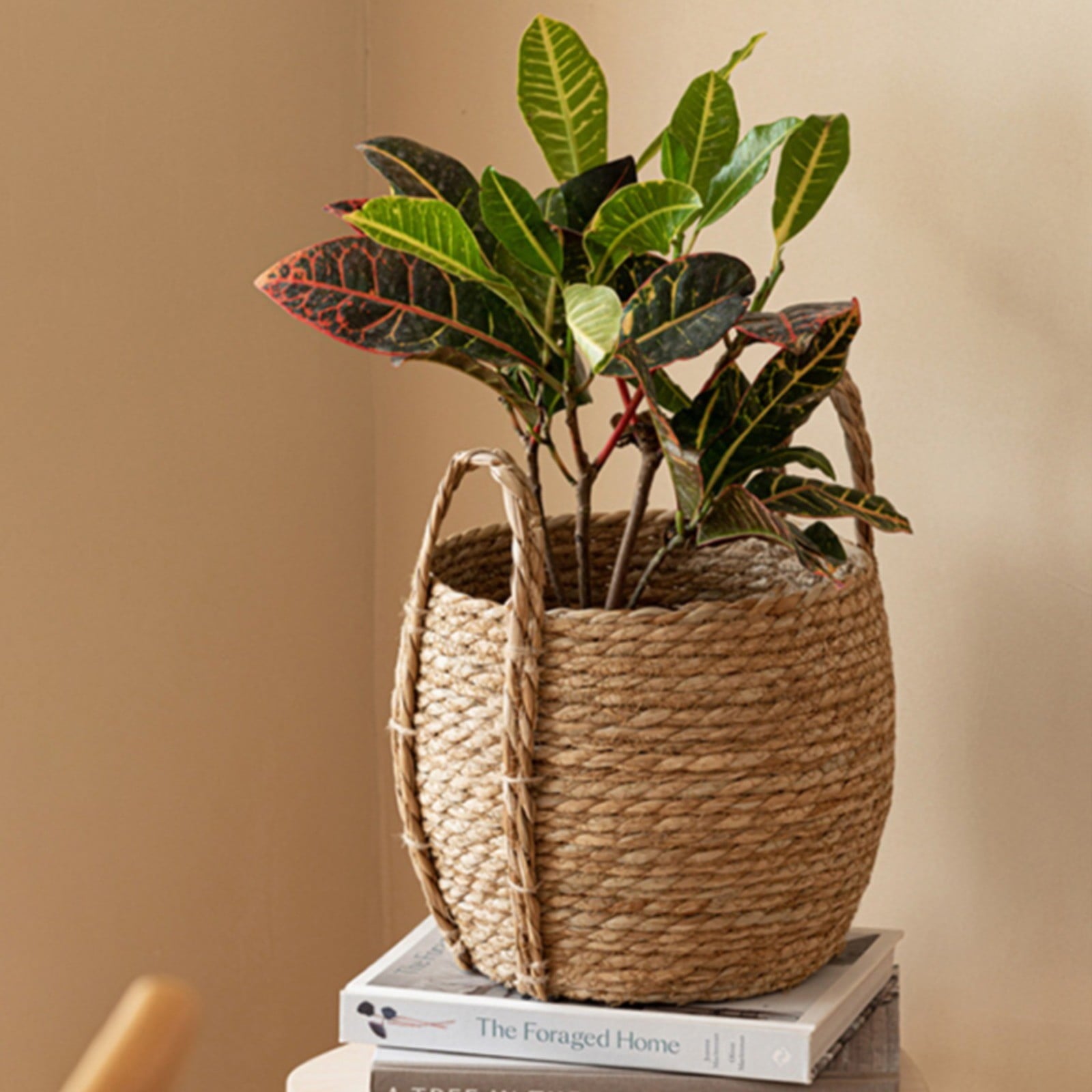 016d12d46c3518cc0ca4db5df16c049c