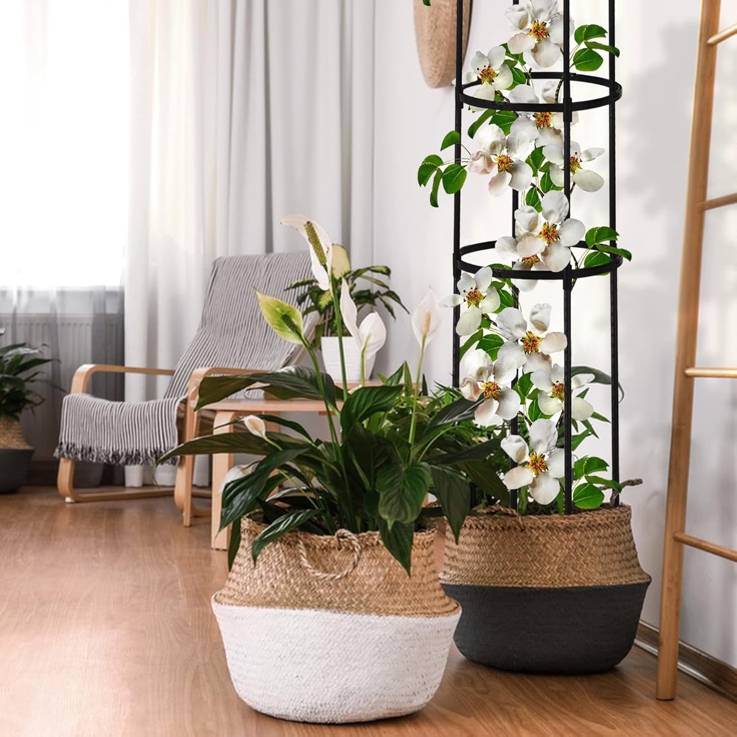 117336df52aca191093f1cfbc1aecf76