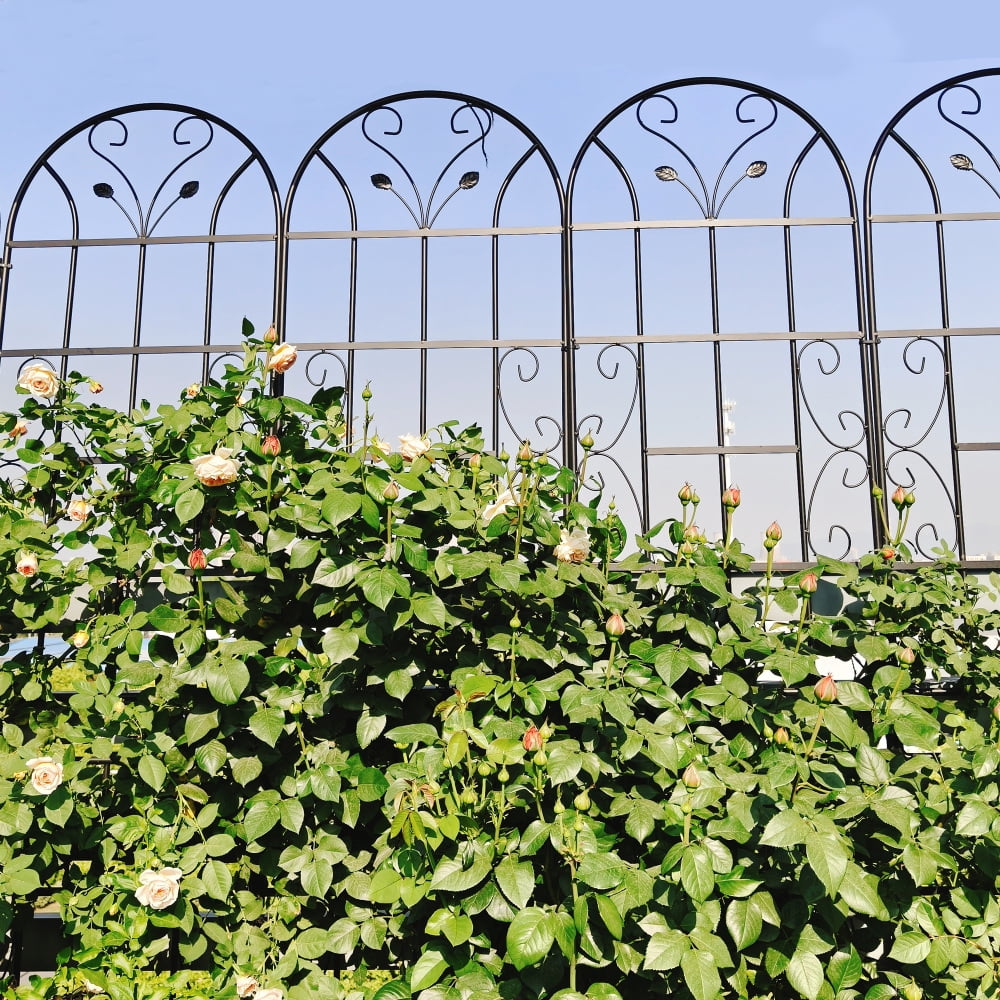 1d677a36523af8f11206e7c362fbf79e