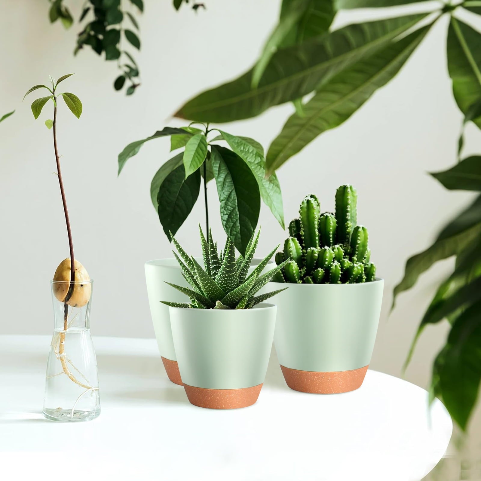 39ac14e51982a3b3f937a205e7b57584