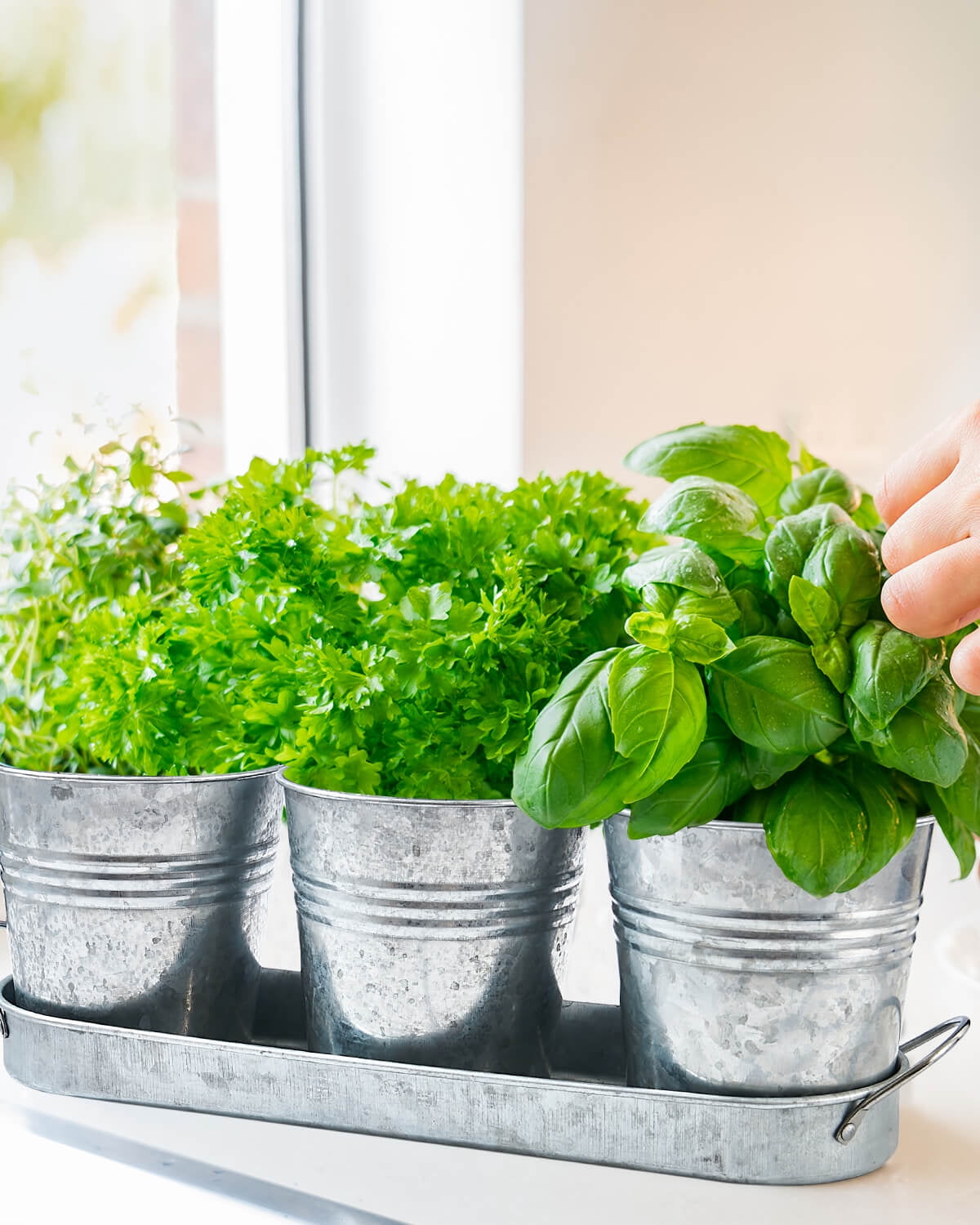 33d4931e7db699d7d3e02629d9585354