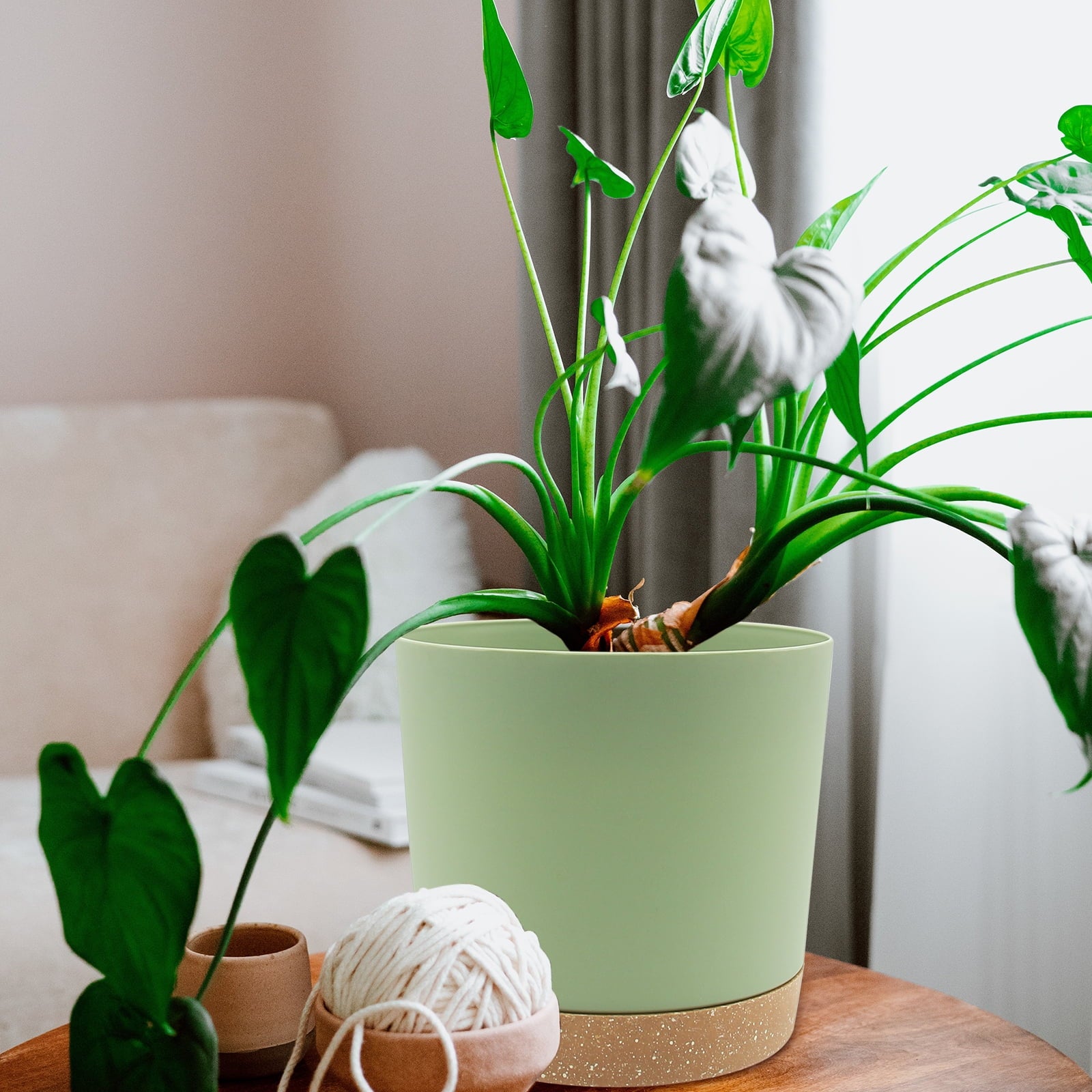 5710dc859a1731da3ed80750f568c3d2