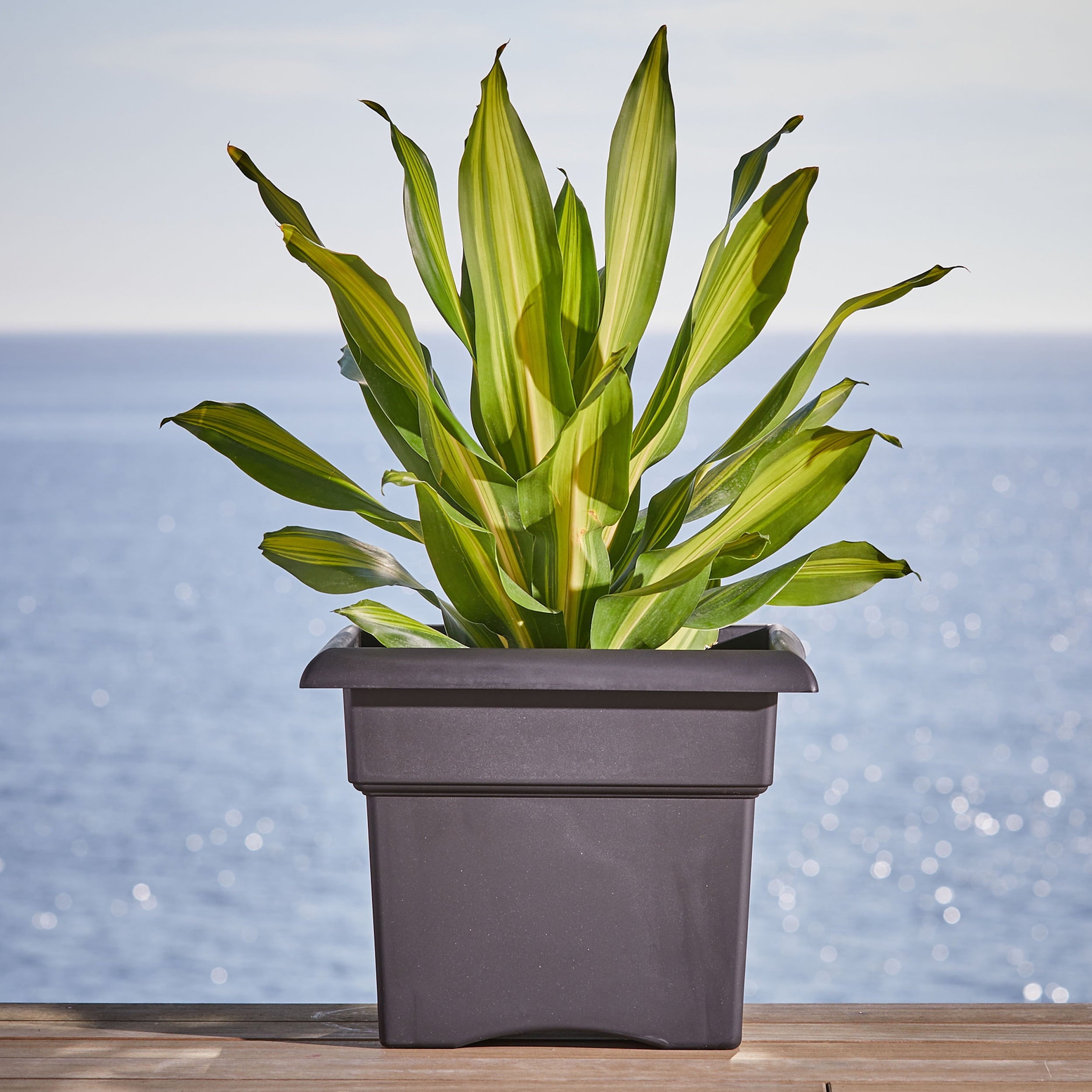 d7530e4b1cf18a0fe107d8e9d653e38b