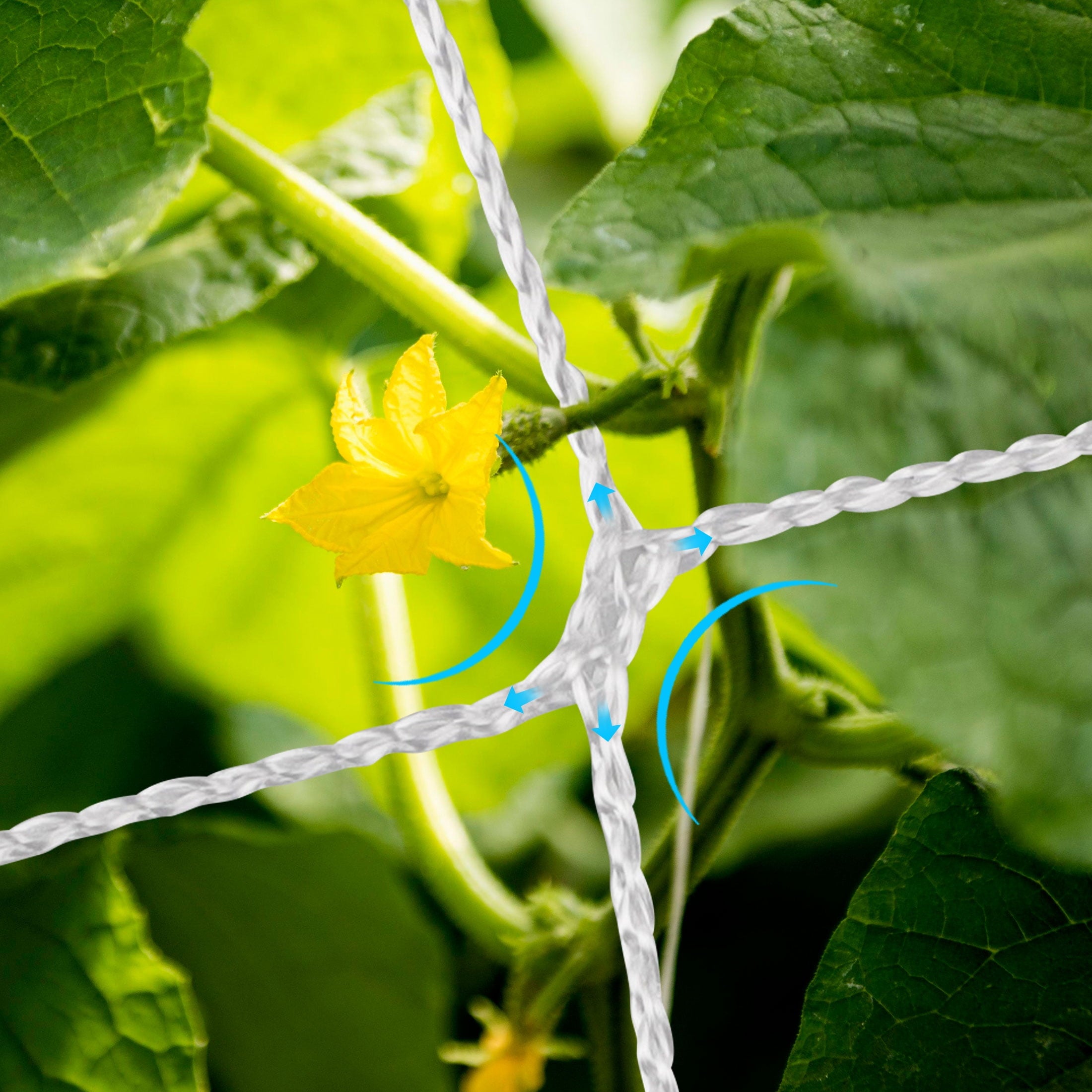 9b37de79e4f4890d0ceac088374f0a58